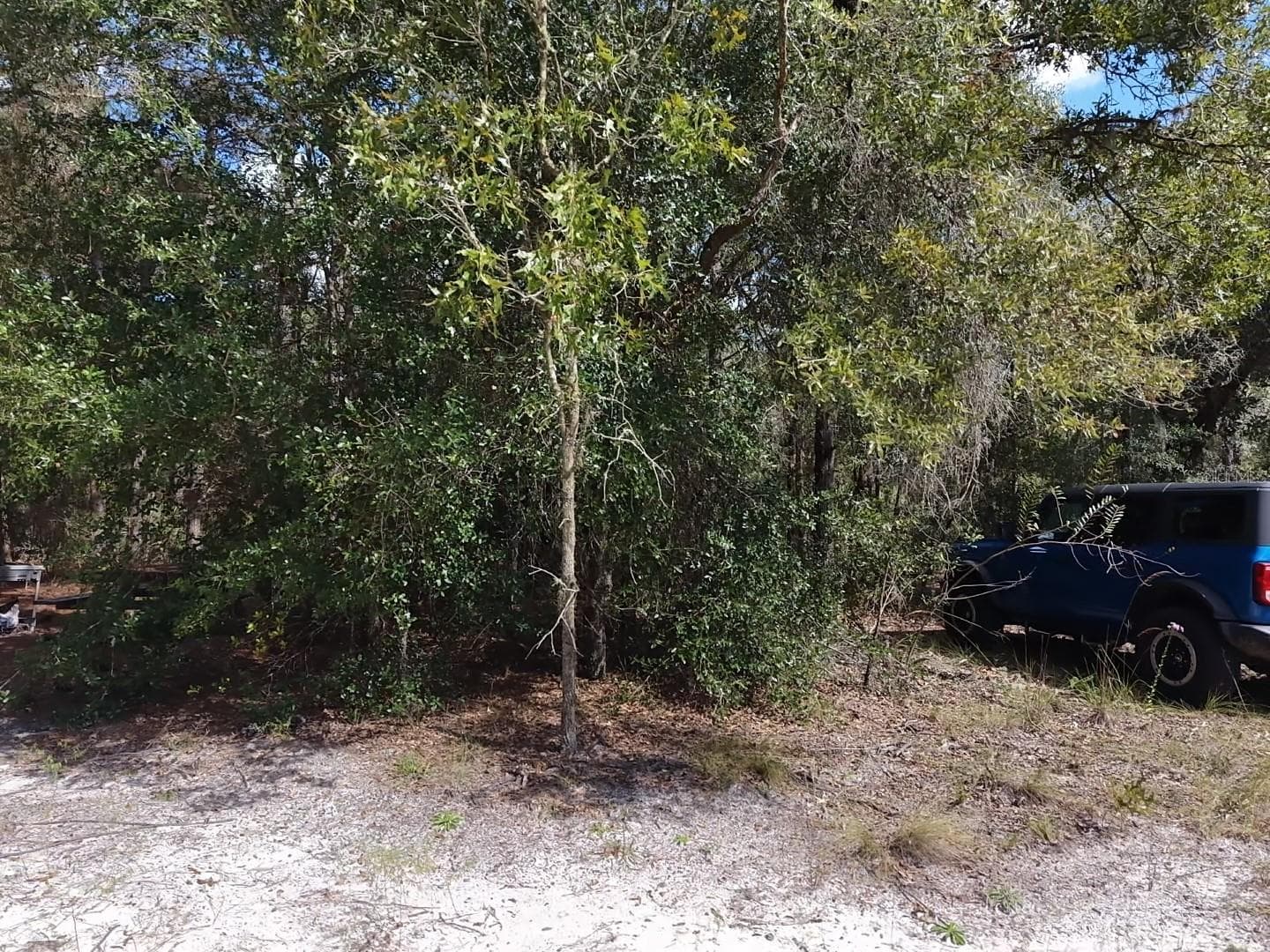 Land at 7416 N NATHAN PT, CRYSTAL RIVER, photo 19 of 78