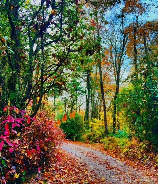 Imagine this drive - 3353 Rock Creek Road, Morganton
