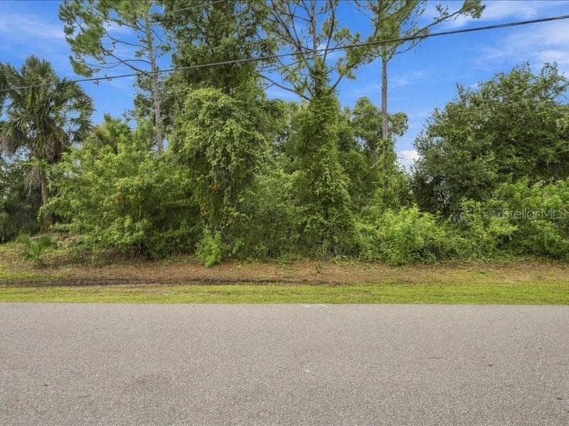 Single Family Residence at 393 MALPELO AVE, PUNTA GORDA, photo 84 of 89