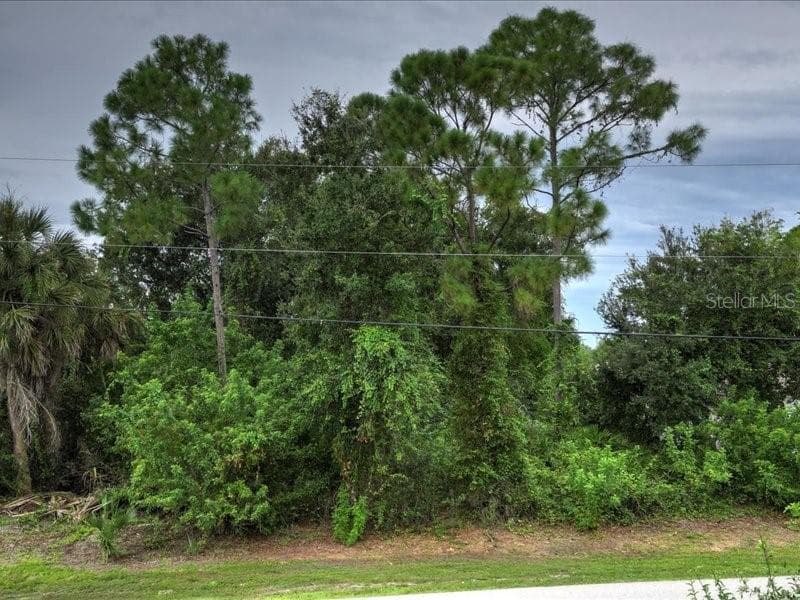 Single Family Residence at 393 MALPELO AVE, PUNTA GORDA, photo 85 of 89