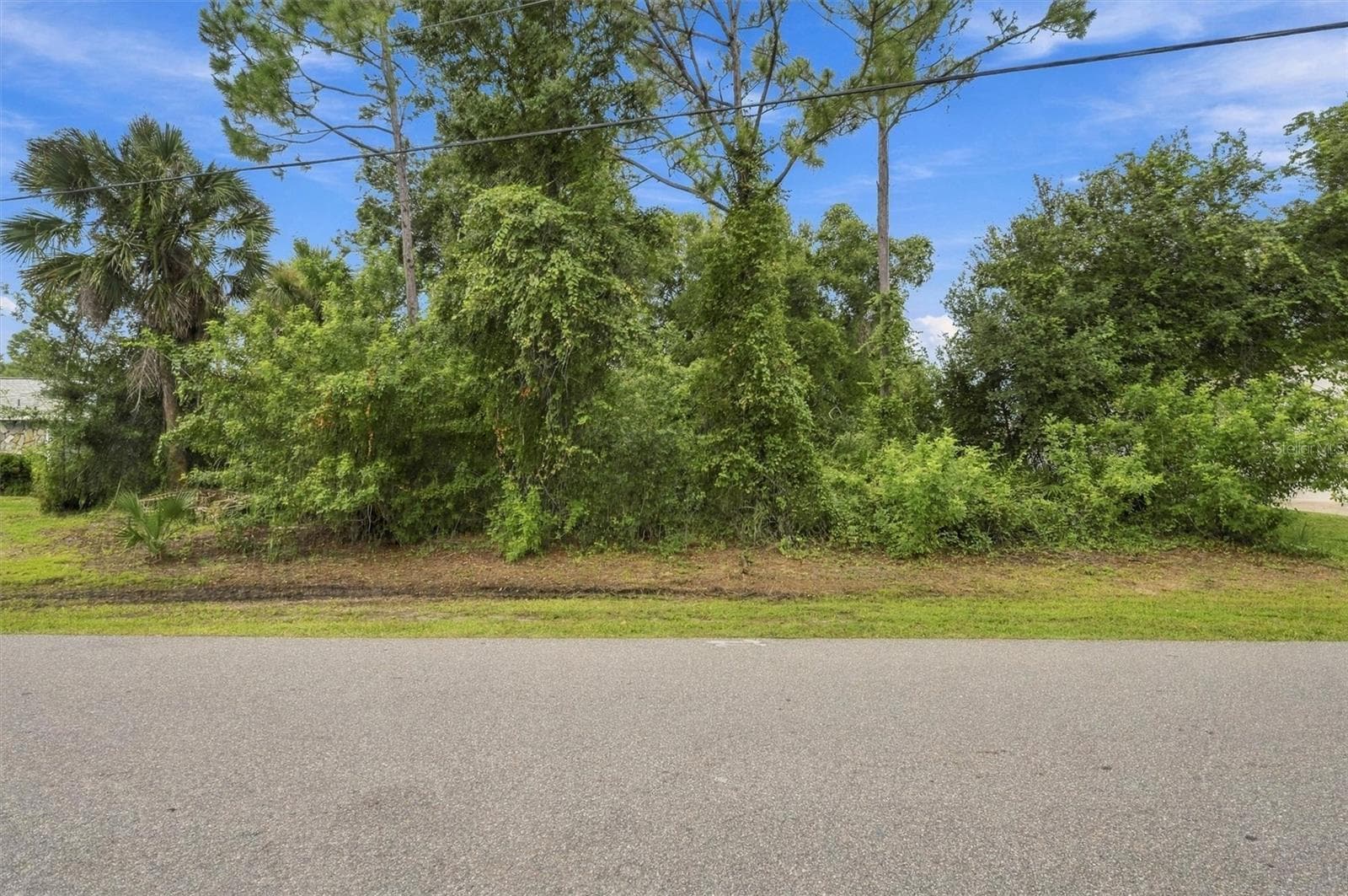 Land at 385 MALPELO AVE, PUNTA GORDA, photo 6 of 10