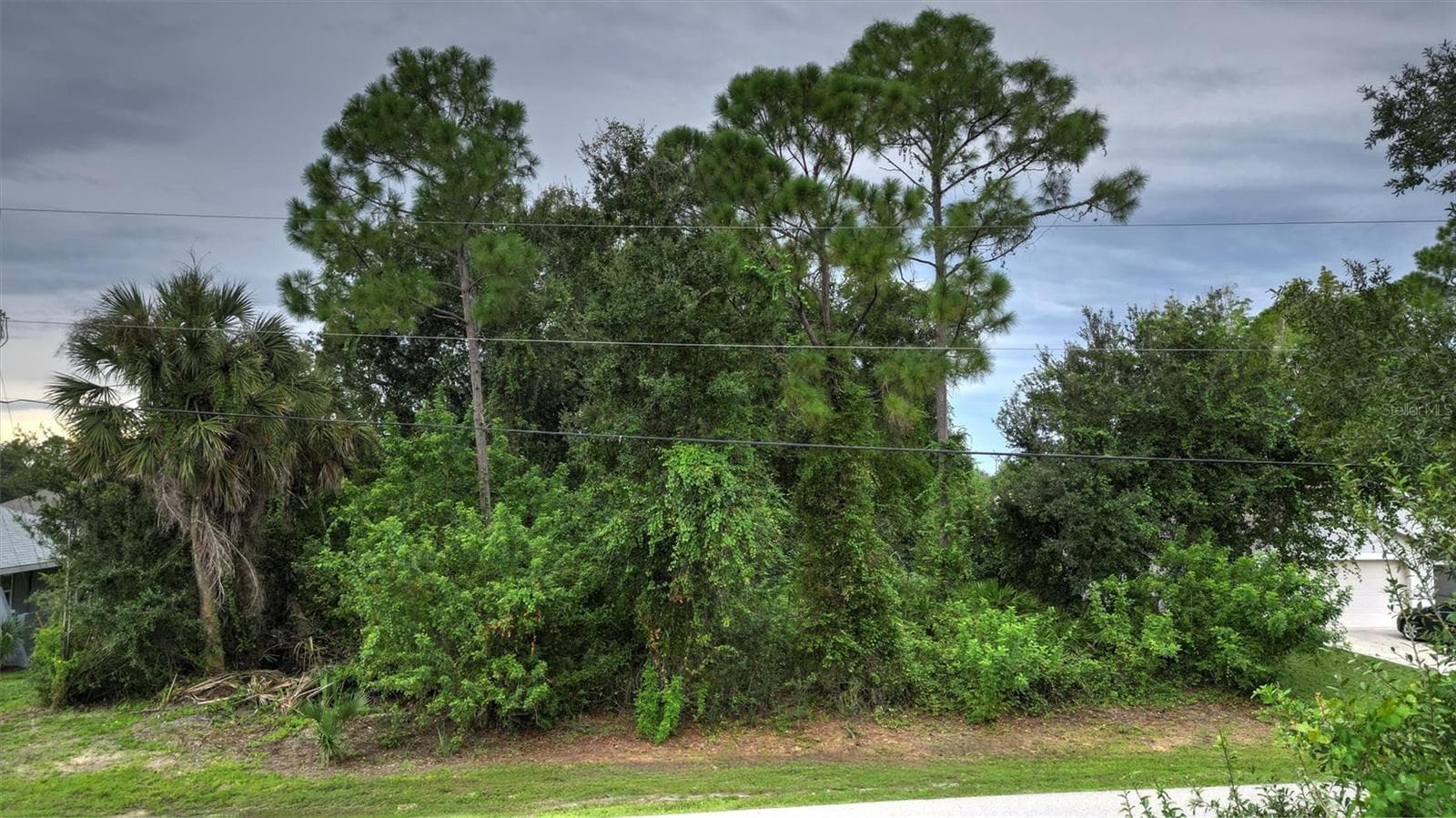 Land at 385 MALPELO AVE, PUNTA GORDA, photo 7 of 10