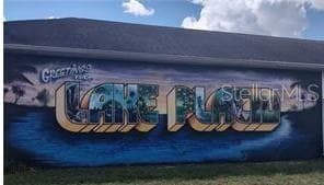 See what the Town of Murals has to offer! - 1617 OAK AVE, LAKE PLACID