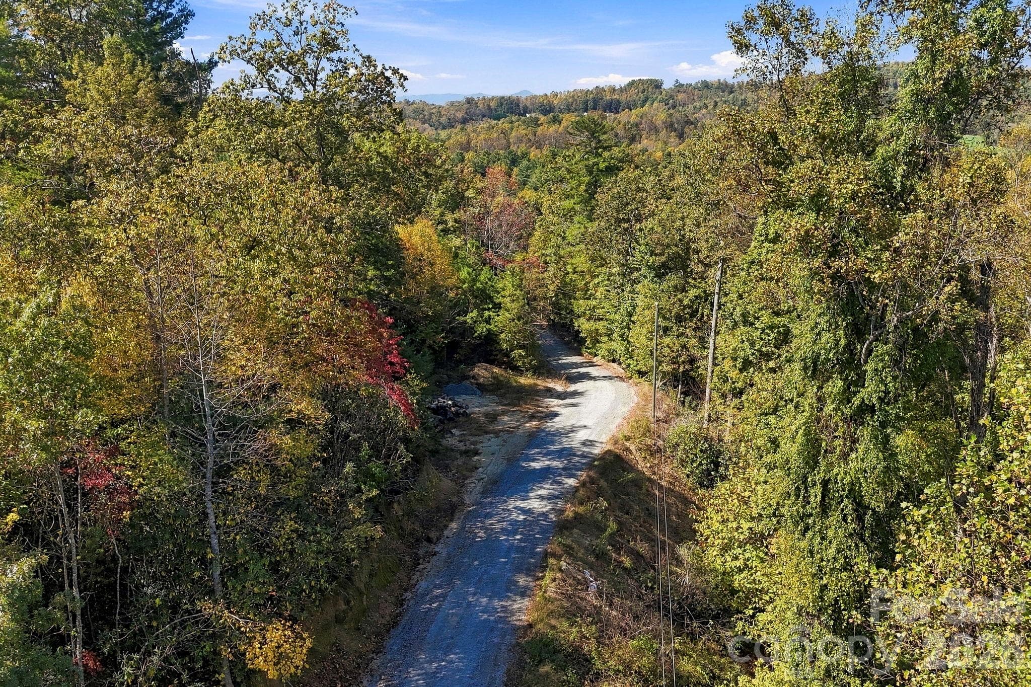 Established gravel road winds through mature hardwoods, providing access to the property's interior. - 631 Union Hill Road, Hendersonville