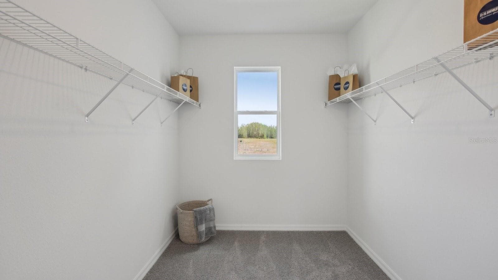 Single Family Residence at 4620 HIDDEN FARM DR, PLANT CITY, photo 26 of 36