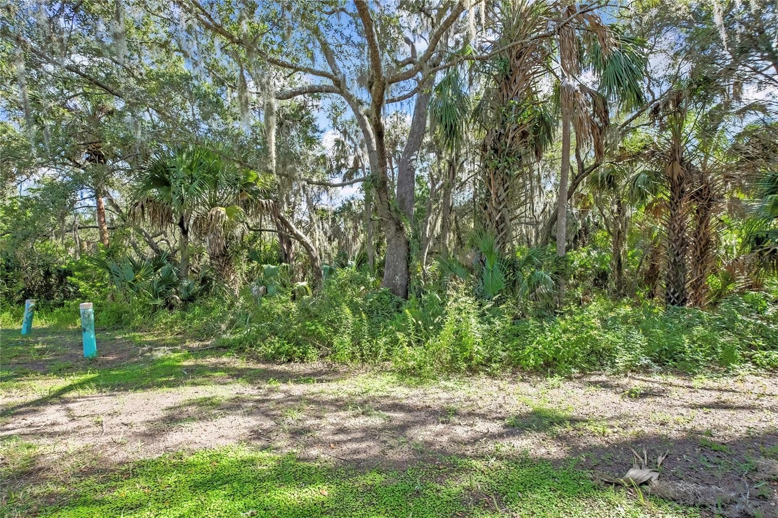 Land at 2825 N RIVERS EDGE BLVD, CRYSTAL RIVER, photo 32 of 35