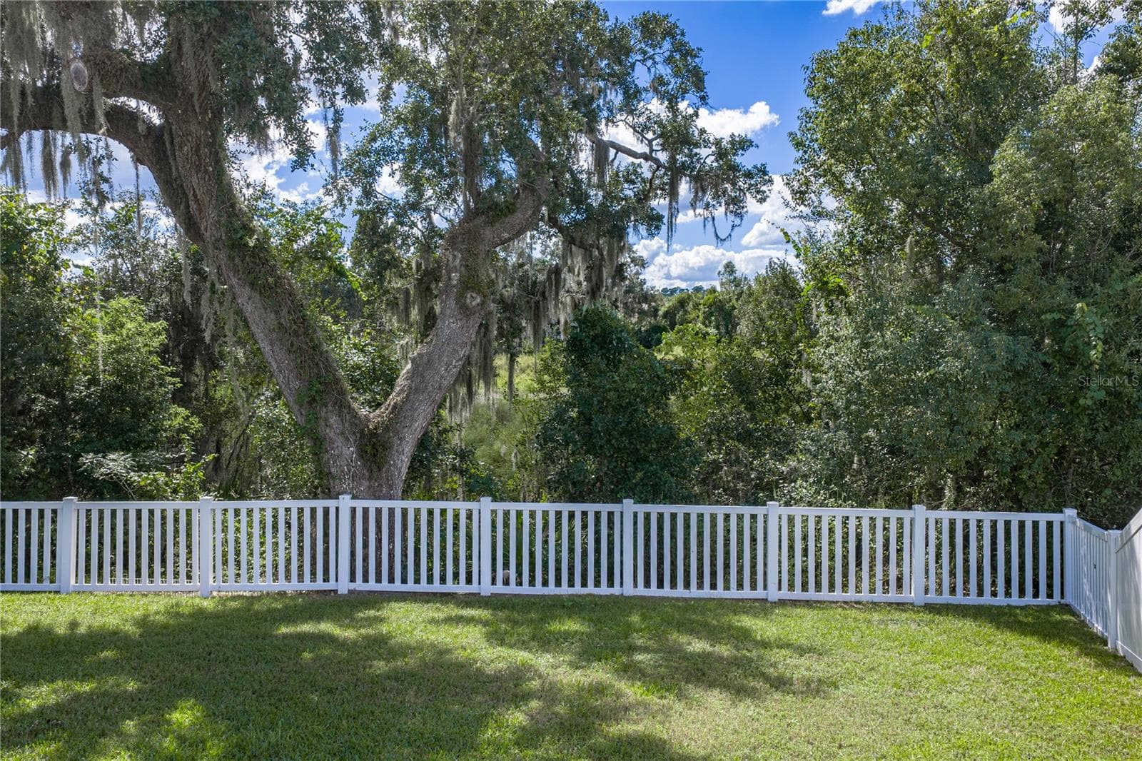 Single Family Residence at 6689 COBBLE BLISS ST, ZEPHYRHILLS, photo 52 of 62