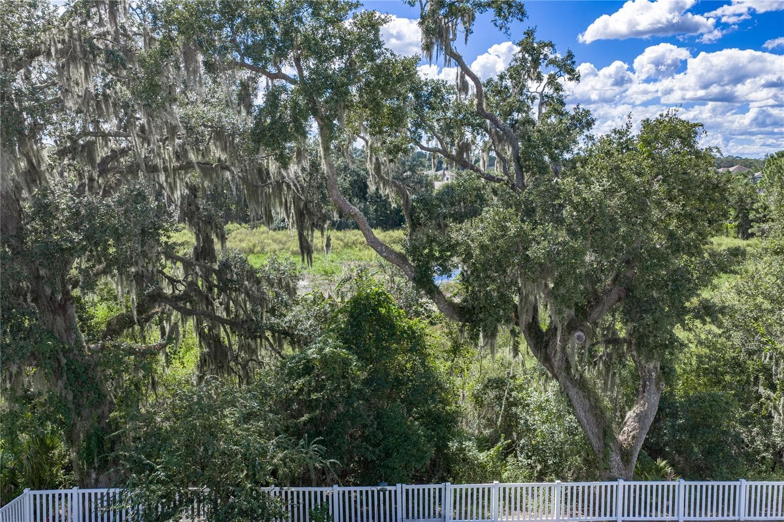 Single Family Residence at 6689 COBBLE BLISS ST, ZEPHYRHILLS, photo 54 of 62