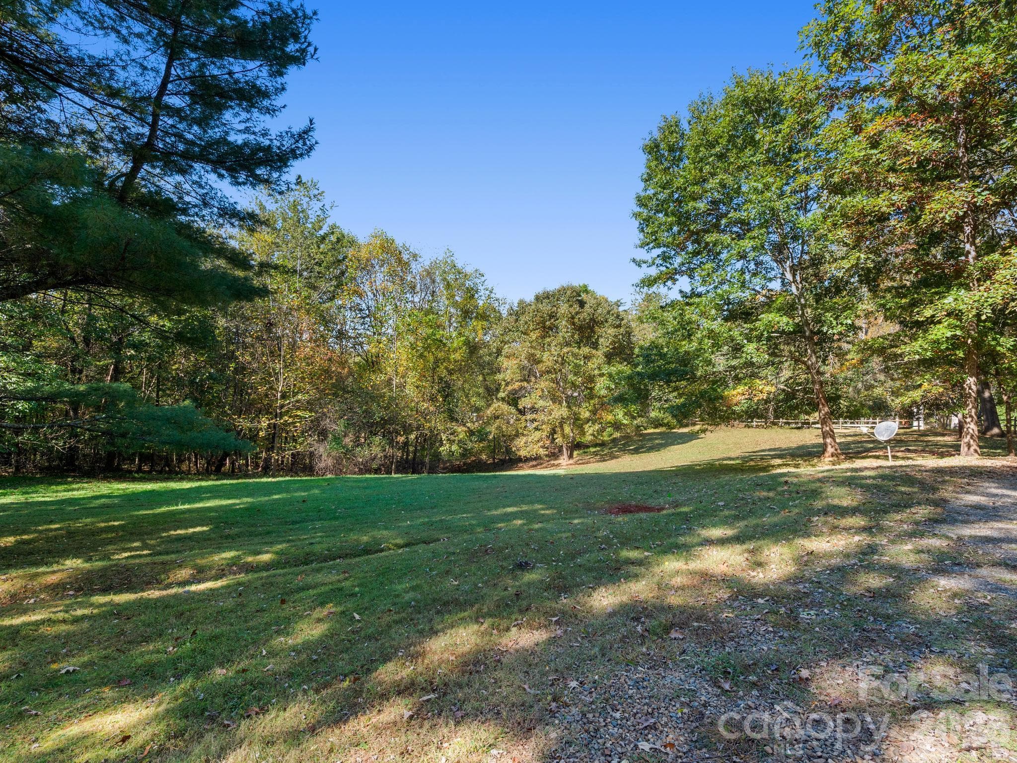 Level backyard framed in trees - 1548 Bear Creek Road, Leicester