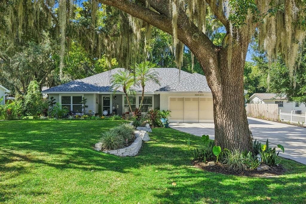 Mature oak trees - 30749 GLENN DR, TAVARES