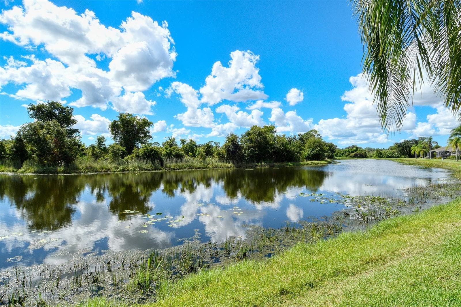View - 5126 BLUE ASH AVE, SARASOTA