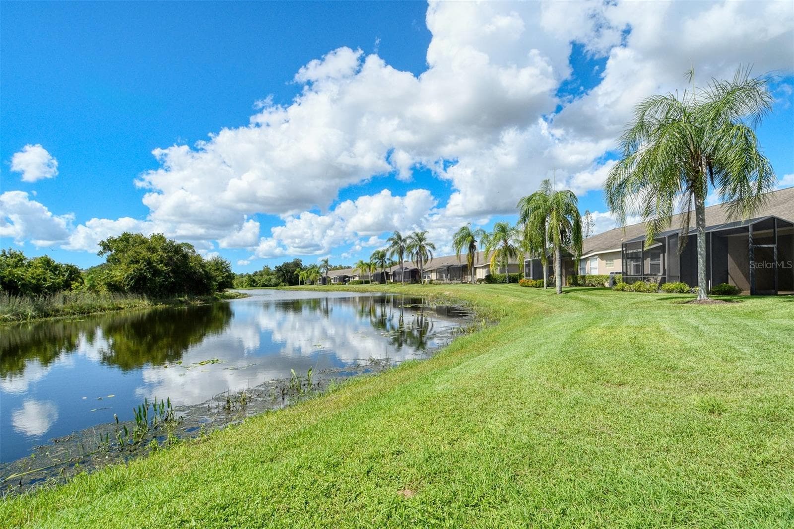 View - 5126 BLUE ASH AVE, SARASOTA