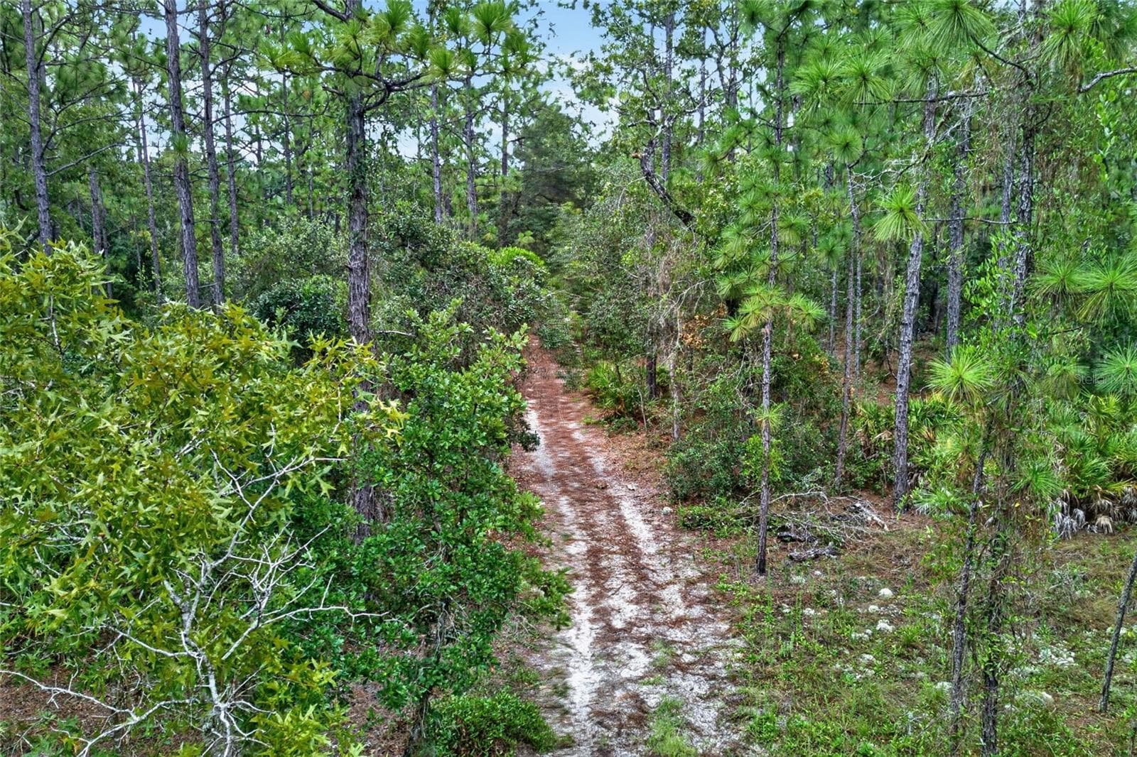 25+ miles of equestrian trails. - 5286 W YEARLING DR, BEVERLY HILLS