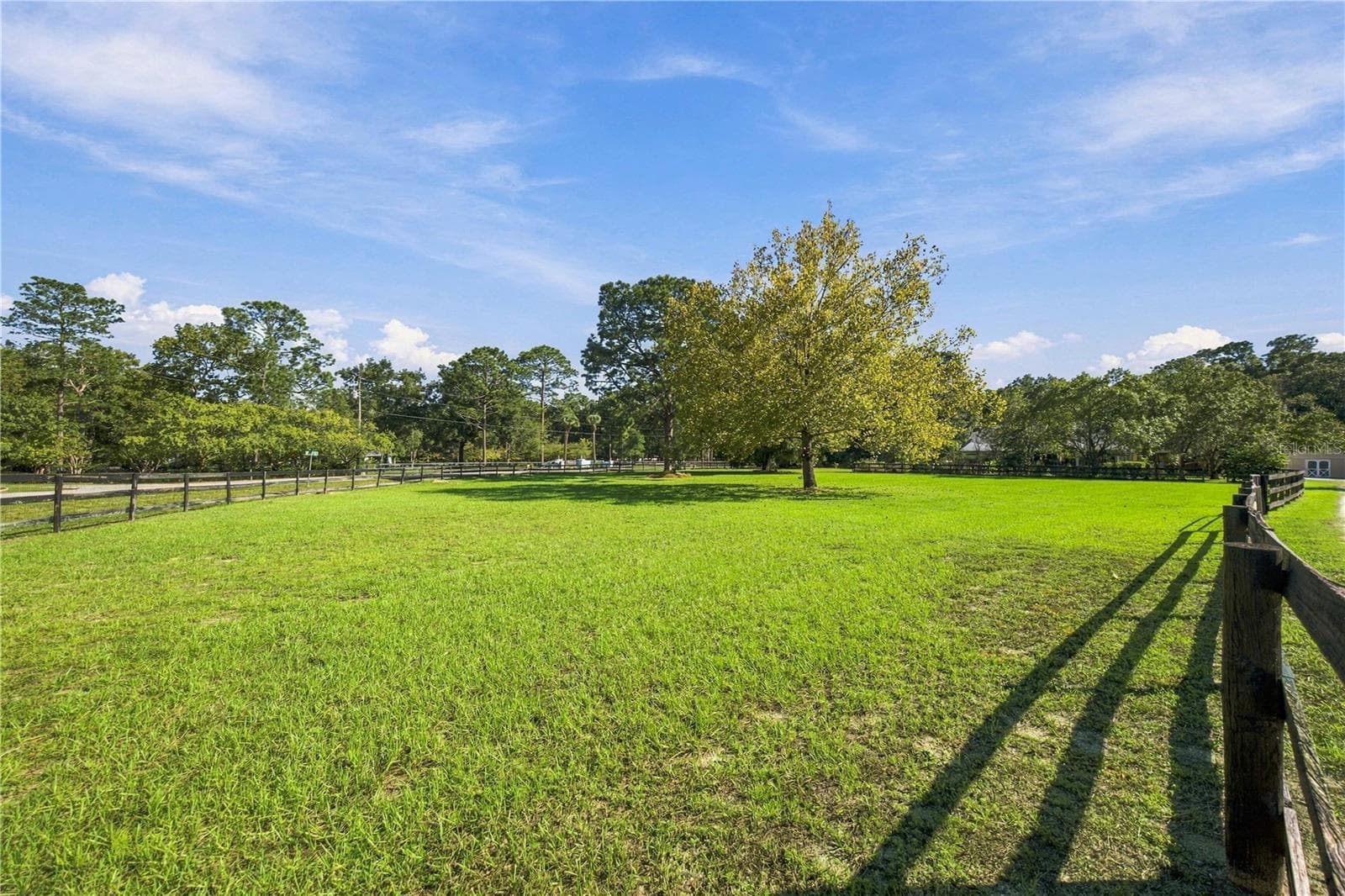 Paddock #1 - 7156 NW 11TH ST, OCALA
