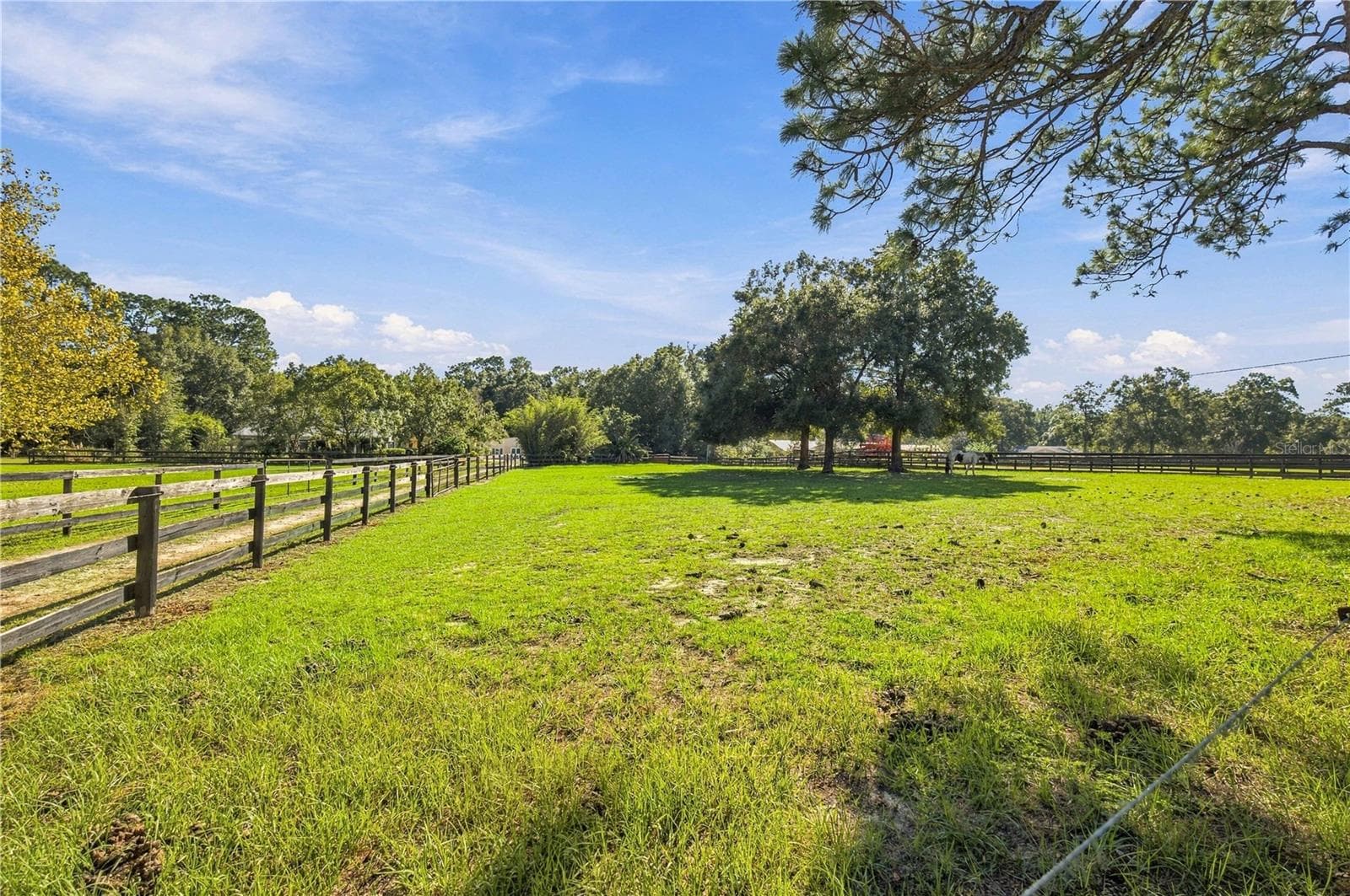 Paddock #2 - 7156 NW 11TH ST, OCALA