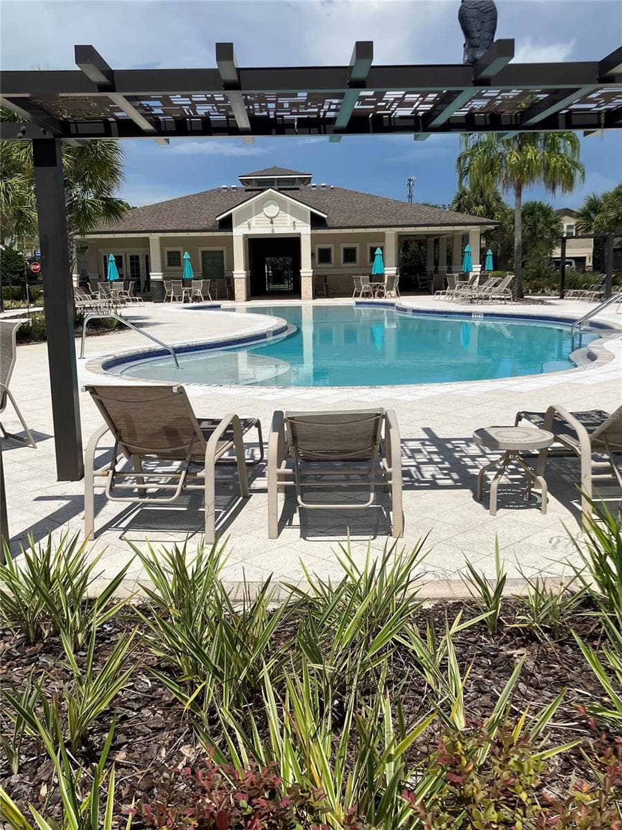 Finishing up the Pool - 18824 ALDER GLEN DR, LUTZ