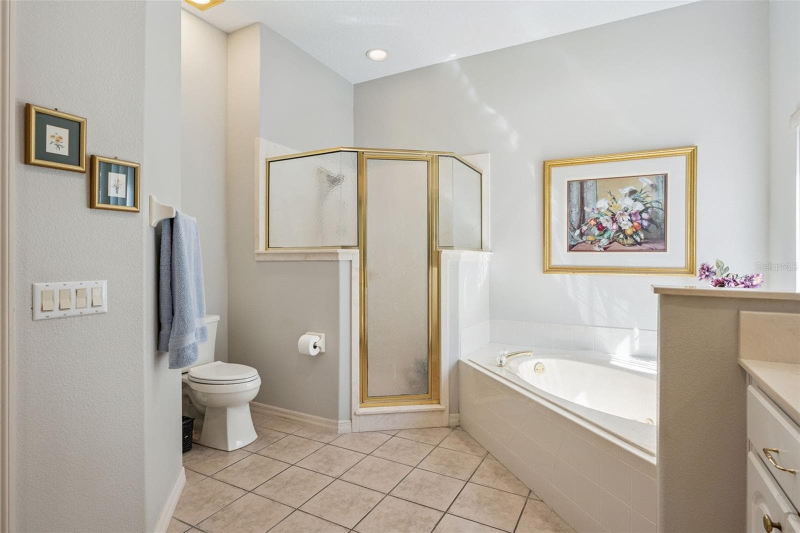 Step in shower - 21113 EDINBOROUGH PL, LEESBURG