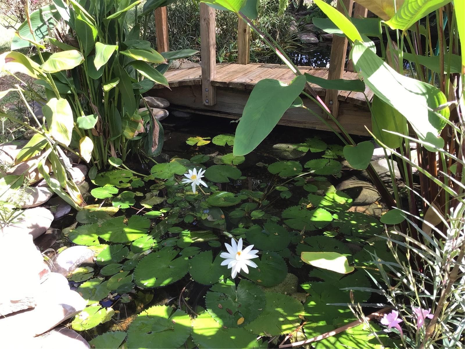 Pond with waterfall - 7156 NW 11TH ST, OCALA