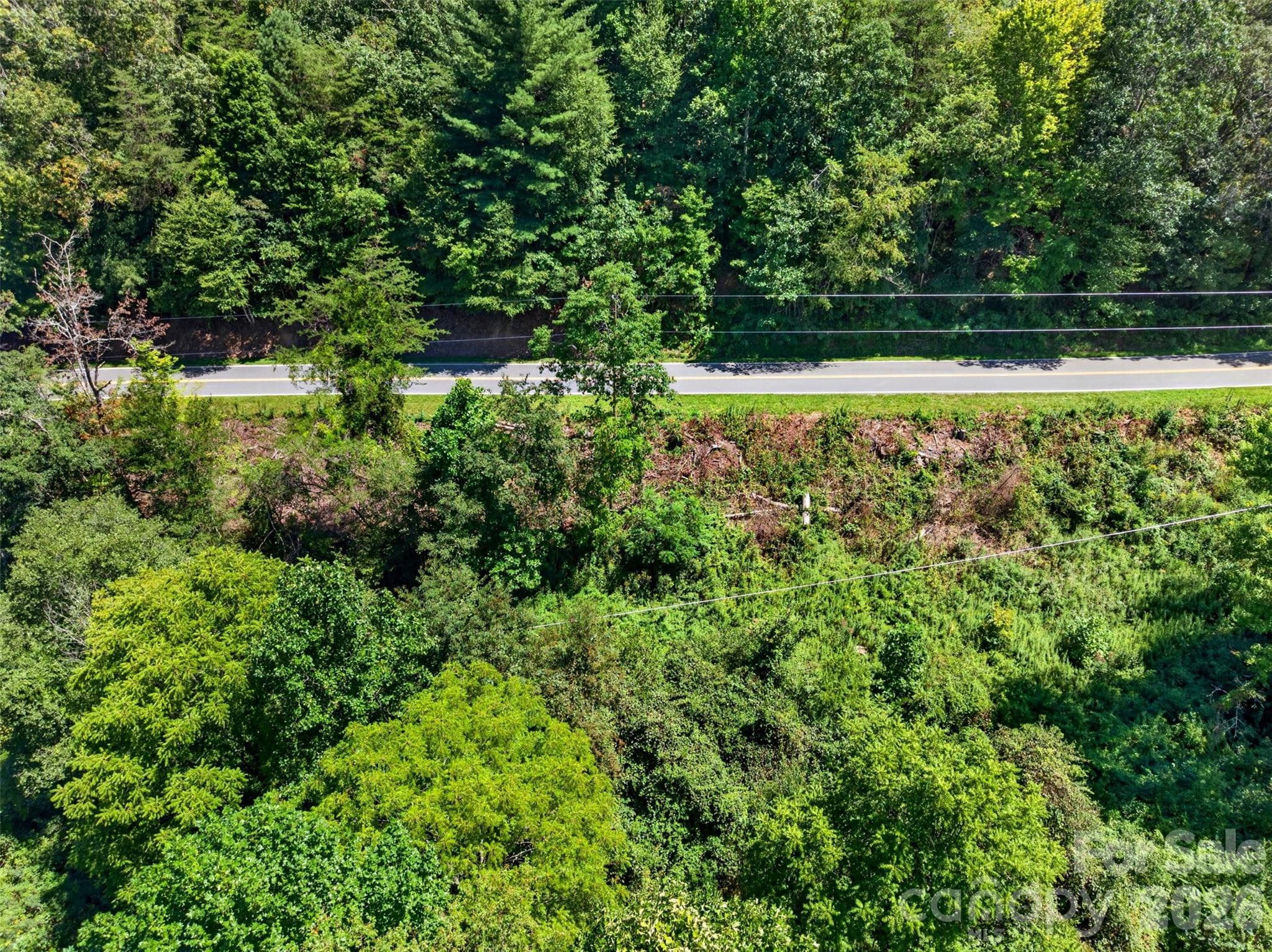 Acreage at 0 Kims Cove Road, Canton, photo 13 of 44