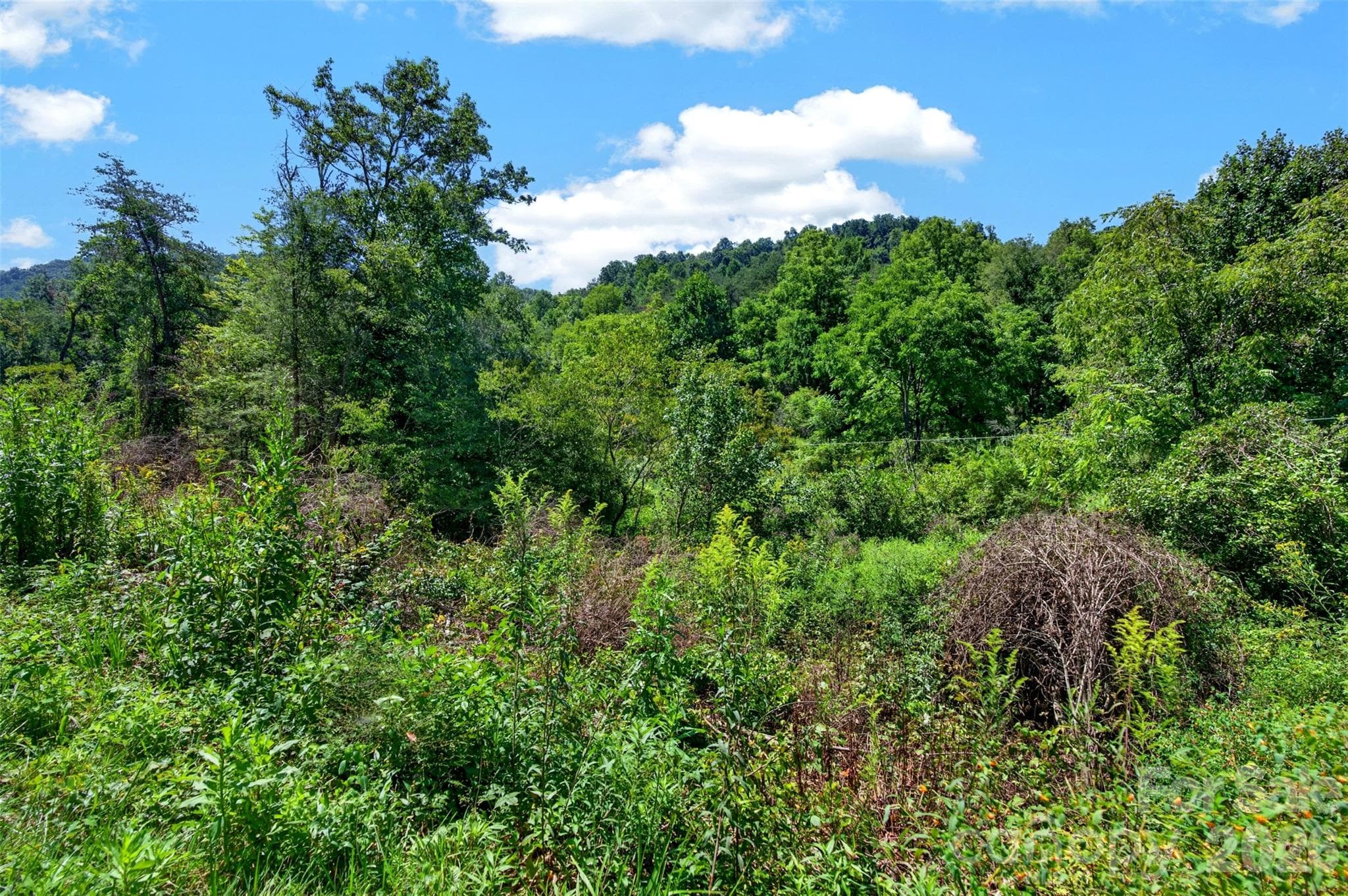 Acreage at 0 Kims Cove Road, Canton, photo 17 of 44