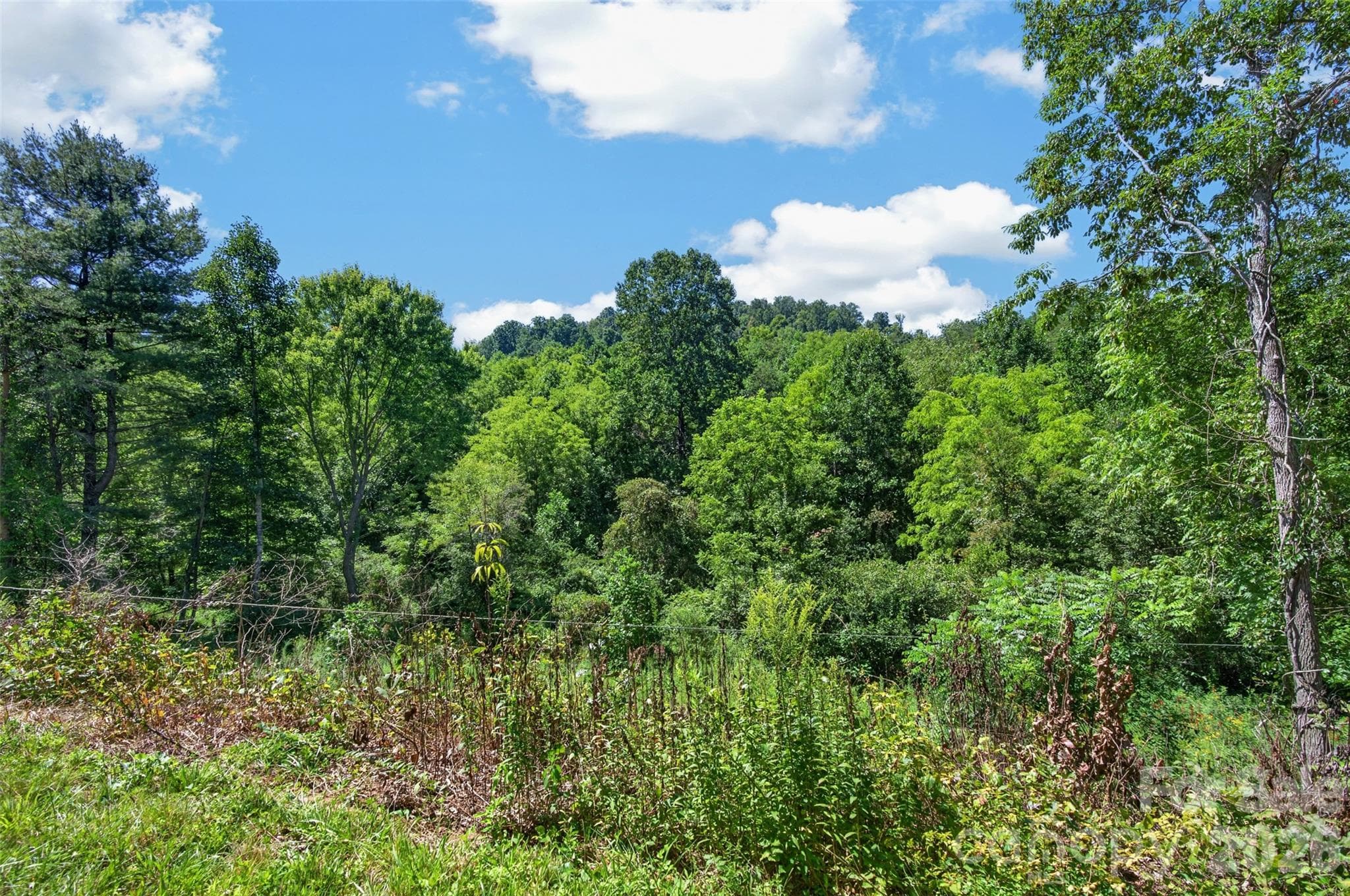 Acreage at 0 Kims Cove Road, Canton, photo 18 of 44
