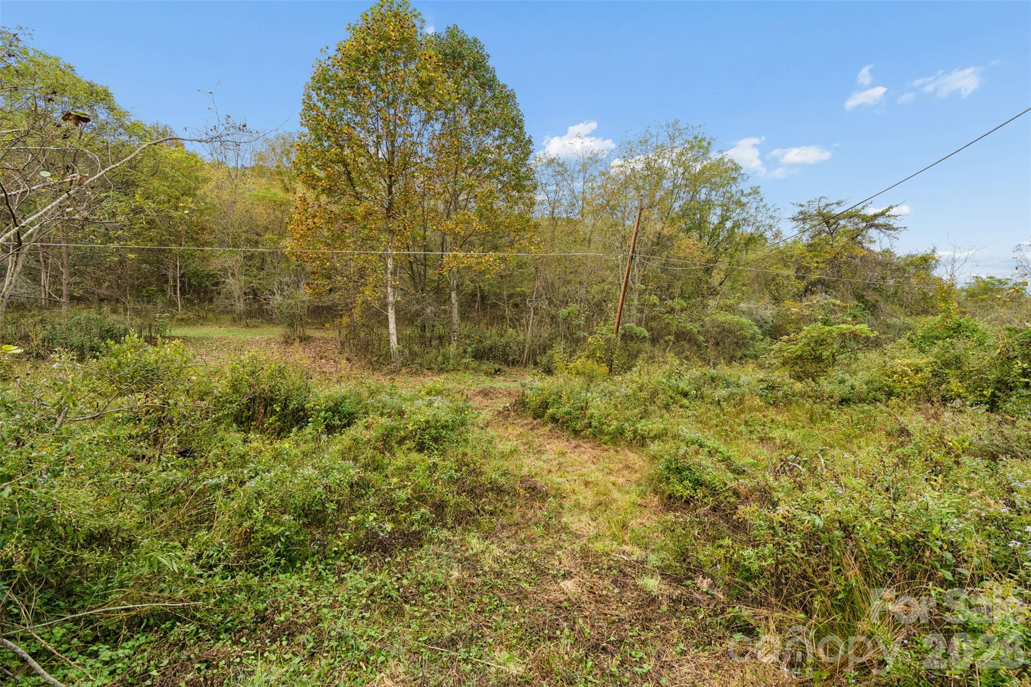 Acreage at 0 Kims Cove Road, Canton, photo 19 of 44