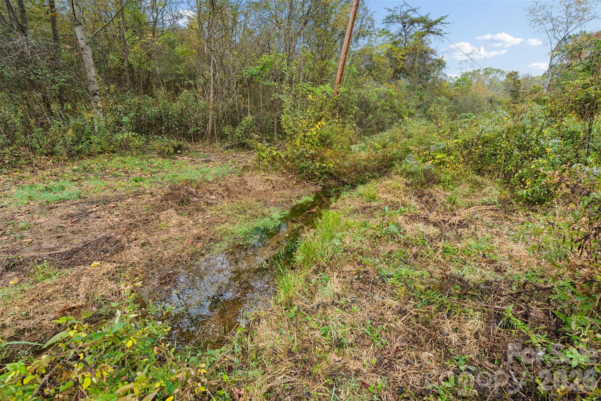 Acreage at 0 Kims Cove Road, Canton, photo 20 of 44