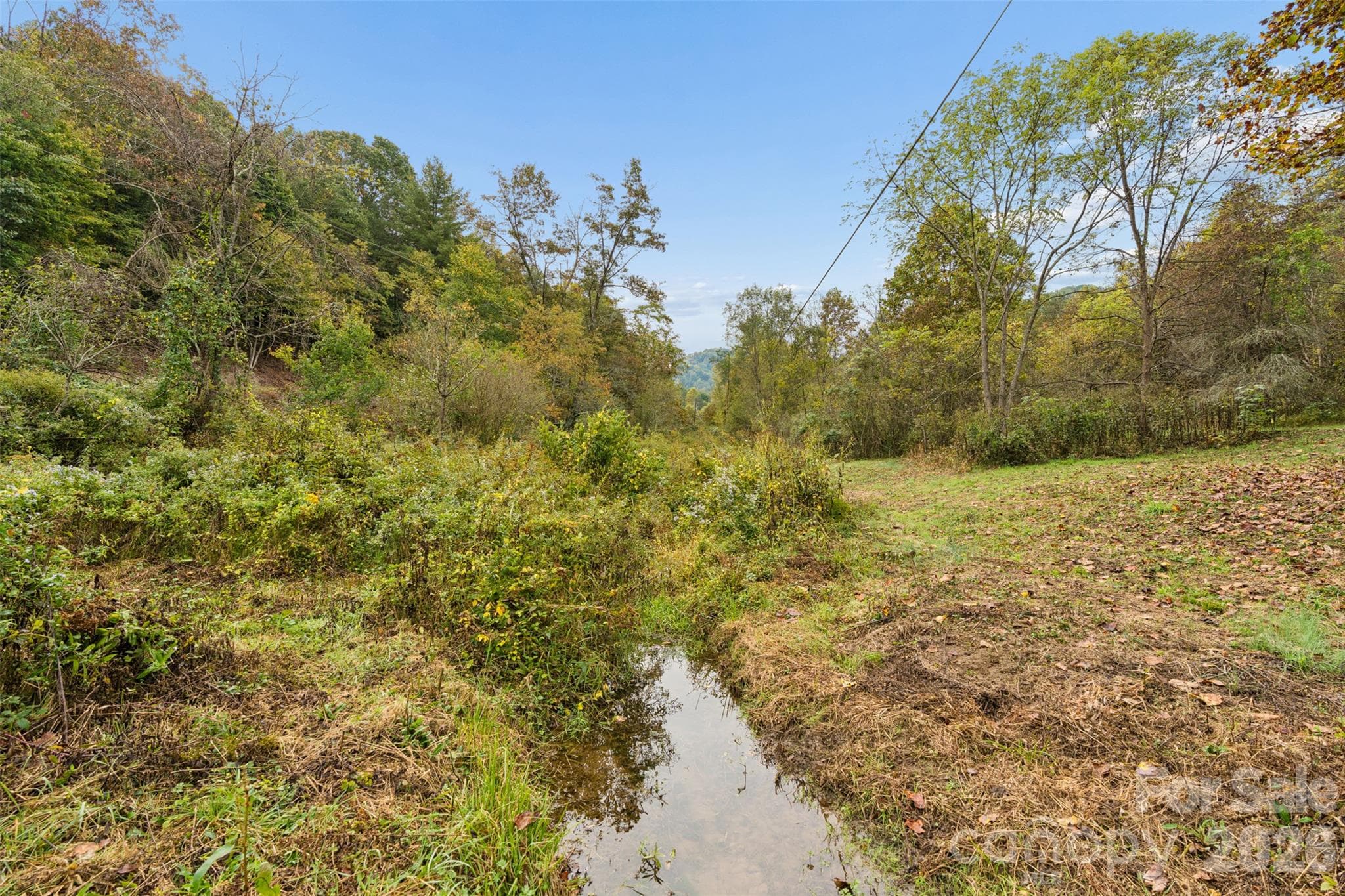 Acreage at 0 Kims Cove Road, Canton, photo 21 of 44