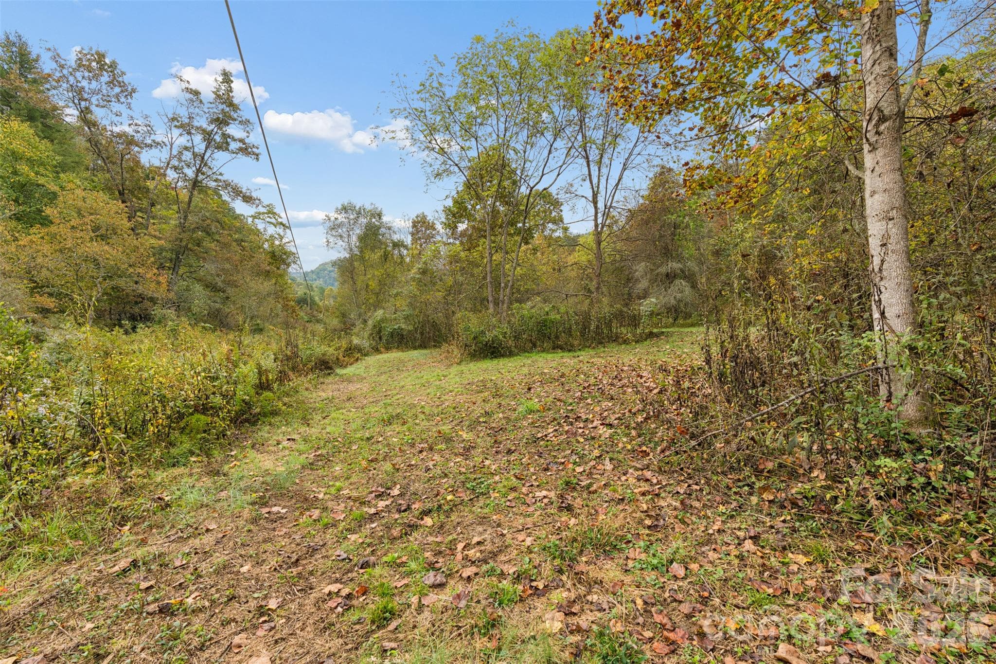 Acreage at 0 Kims Cove Road, Canton, photo 22 of 44