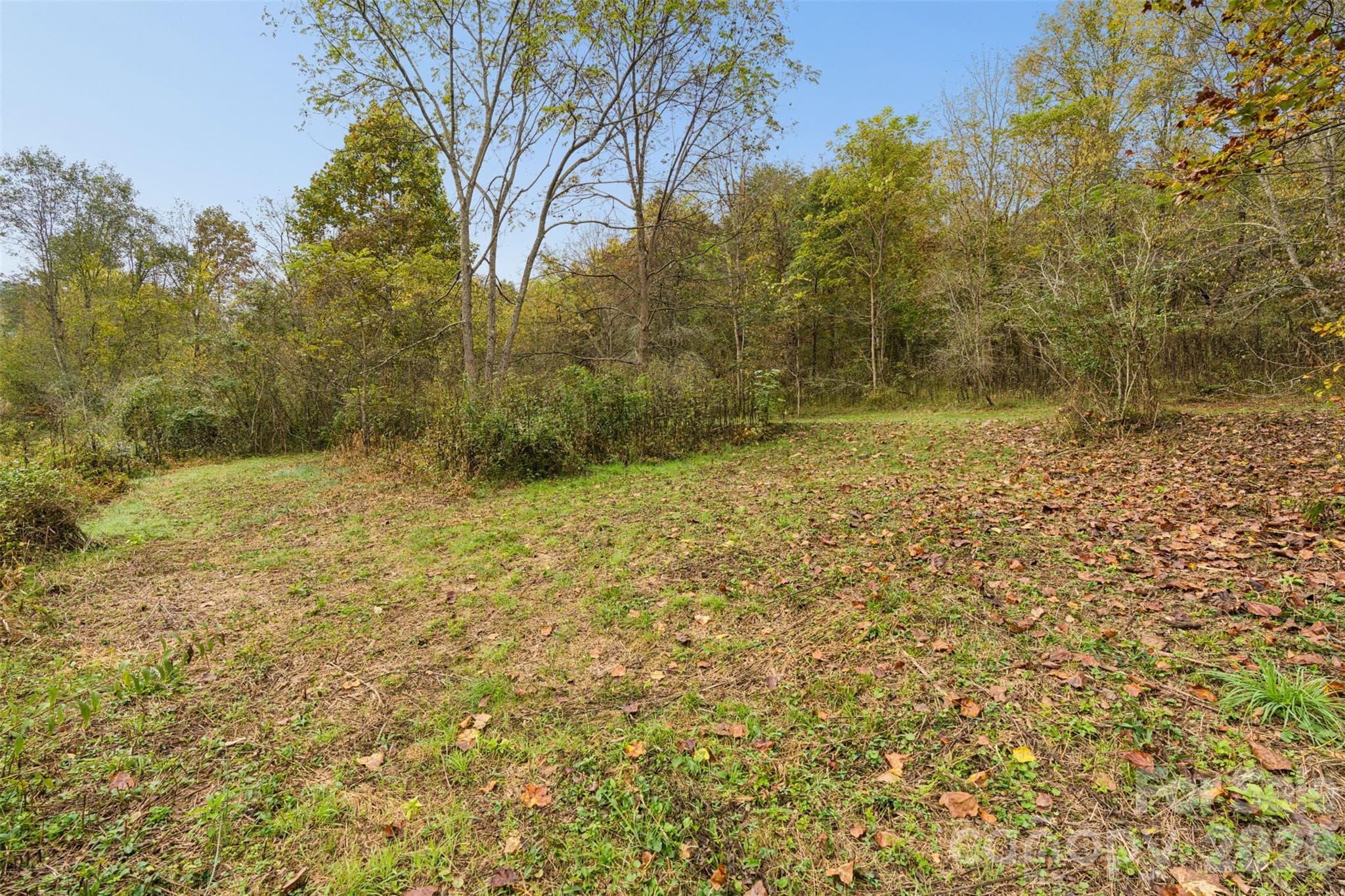Acreage at 0 Kims Cove Road, Canton, photo 23 of 44