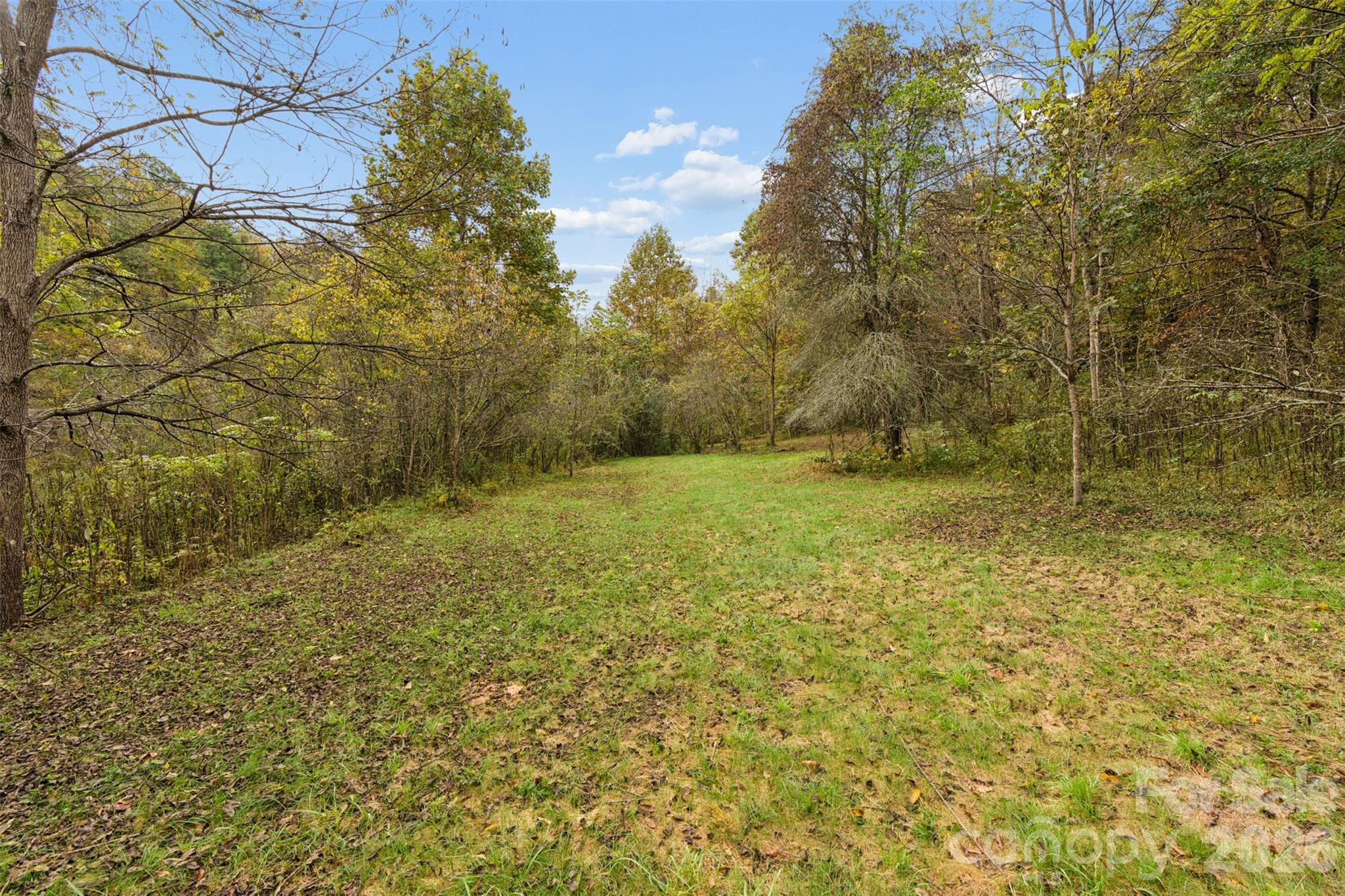 Acreage at 0 Kims Cove Road, Canton, photo 24 of 44