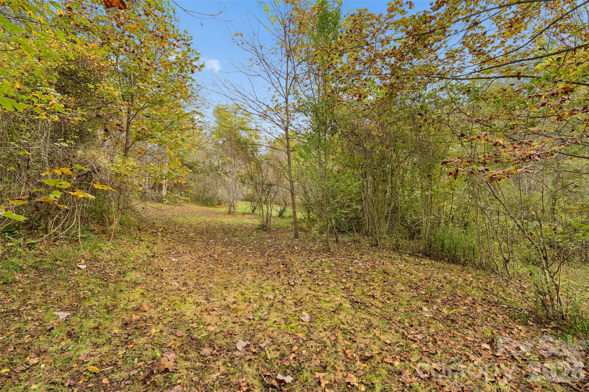 Acreage at 0 Kims Cove Road, Canton, photo 29 of 44