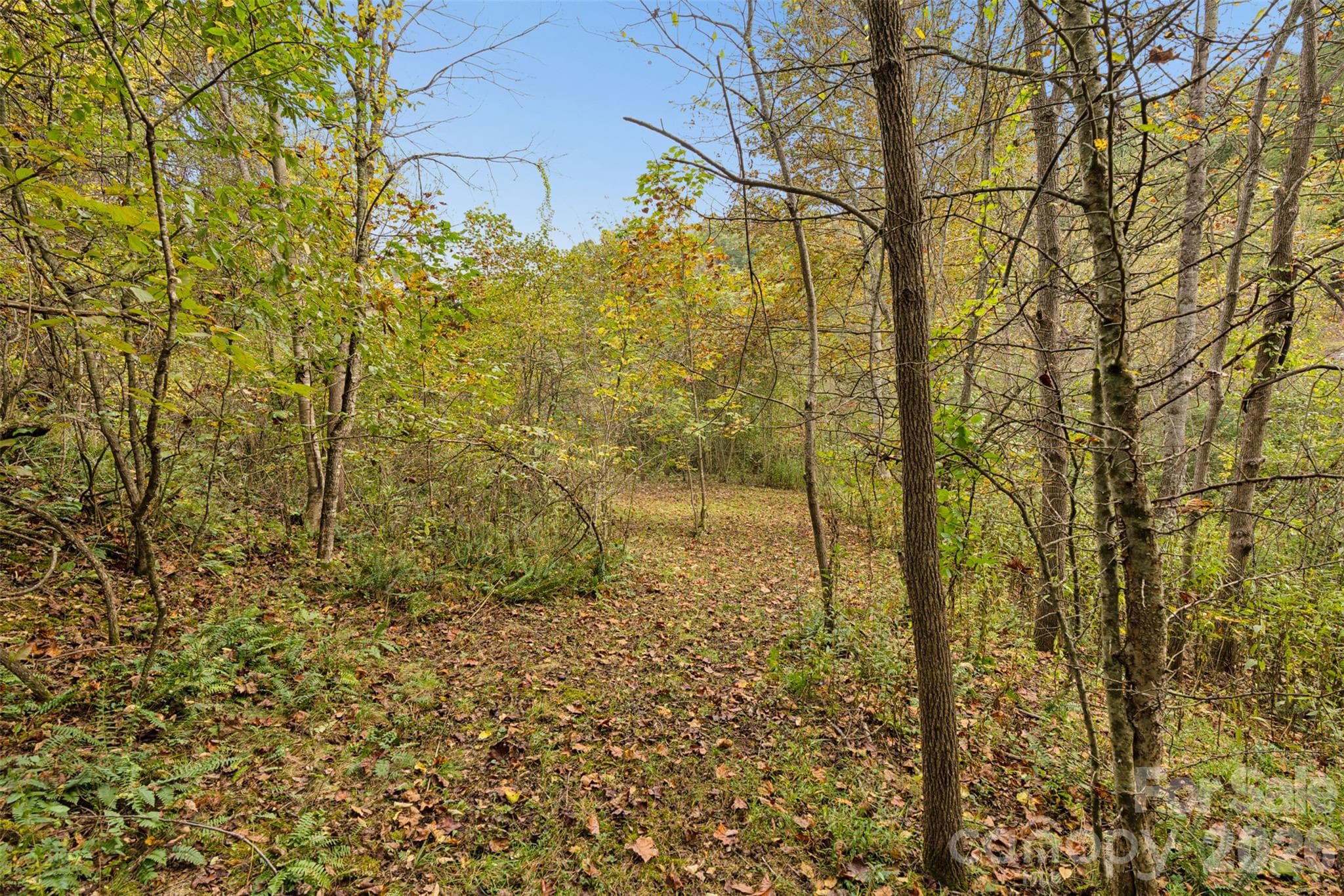 Acreage at 0 Kims Cove Road, Canton, photo 30 of 44