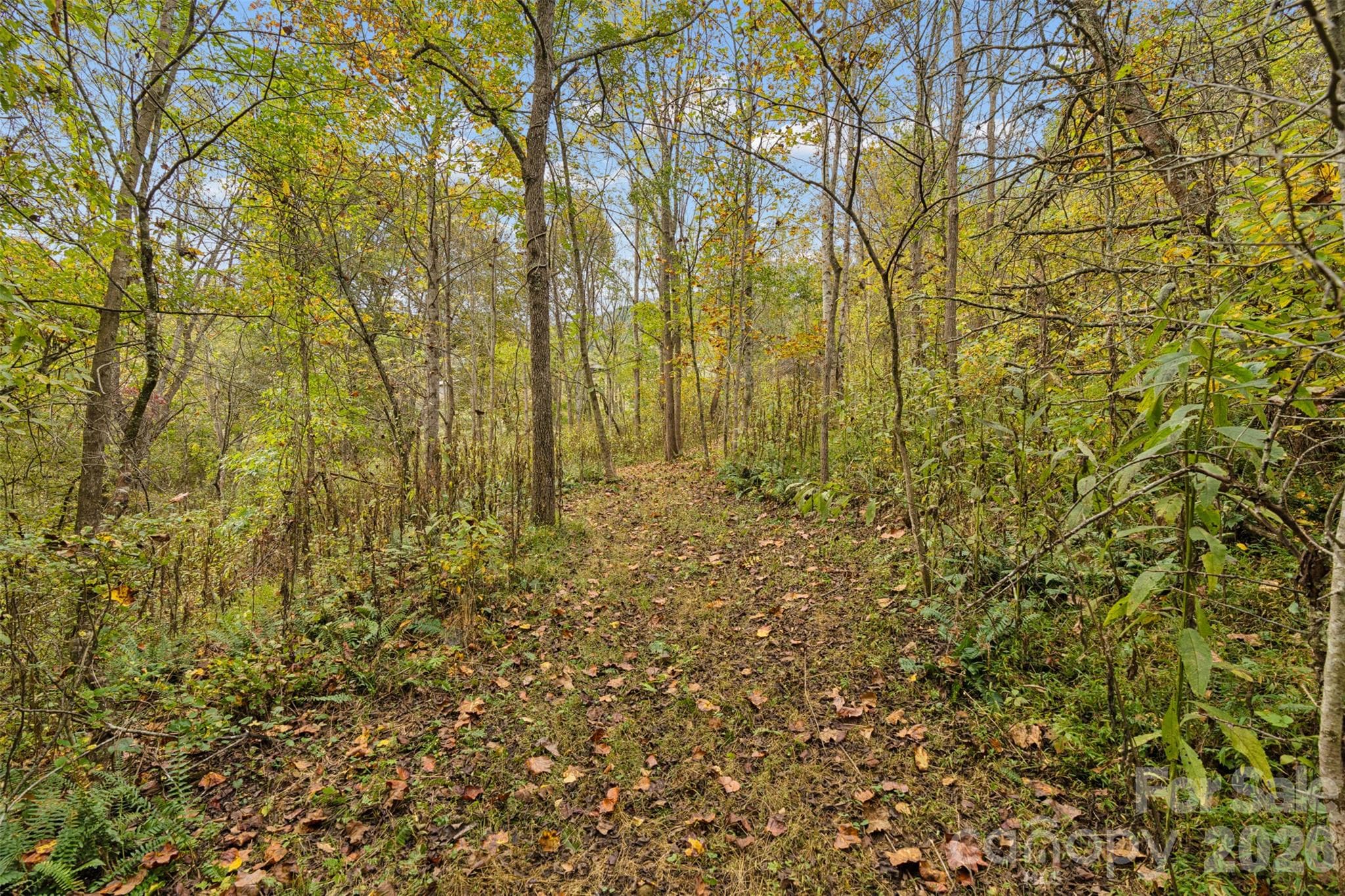 Acreage at 0 Kims Cove Road, Canton, photo 31 of 44
