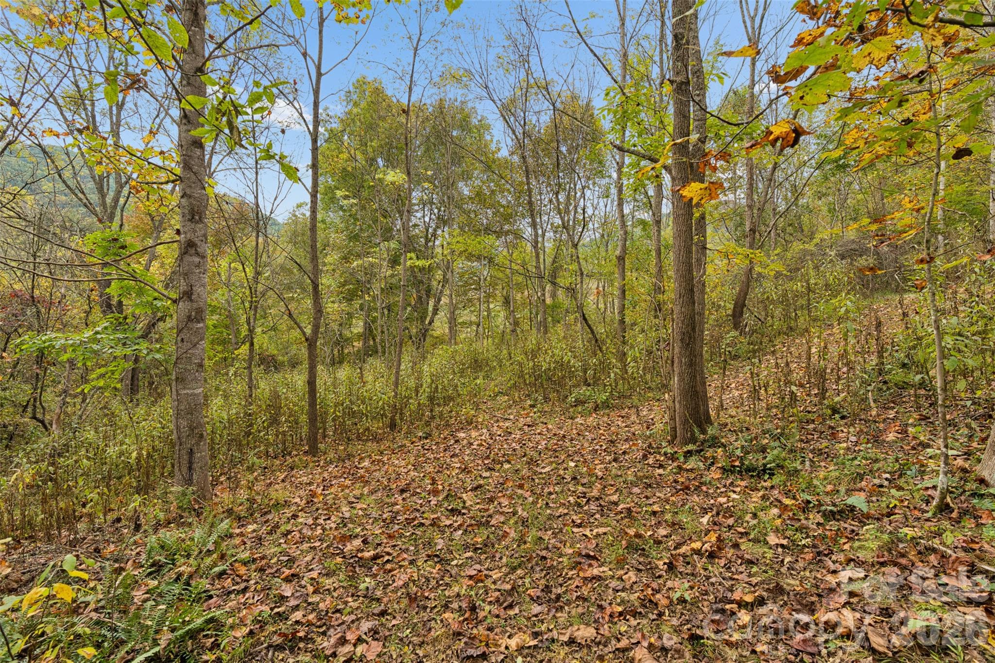 Acreage at 0 Kims Cove Road, Canton, photo 32 of 44