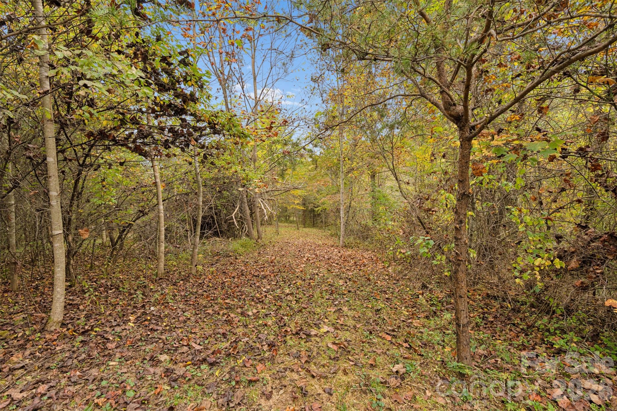 Acreage at 0 Kims Cove Road, Canton, photo 35 of 44
