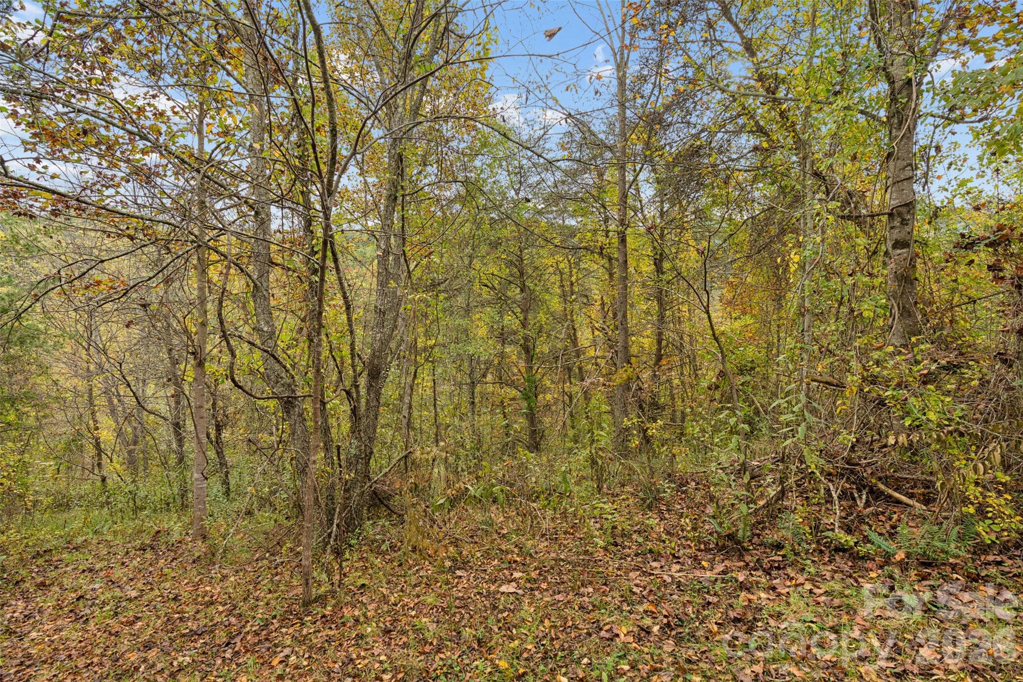 Acreage at 0 Kims Cove Road, Canton, photo 37 of 44