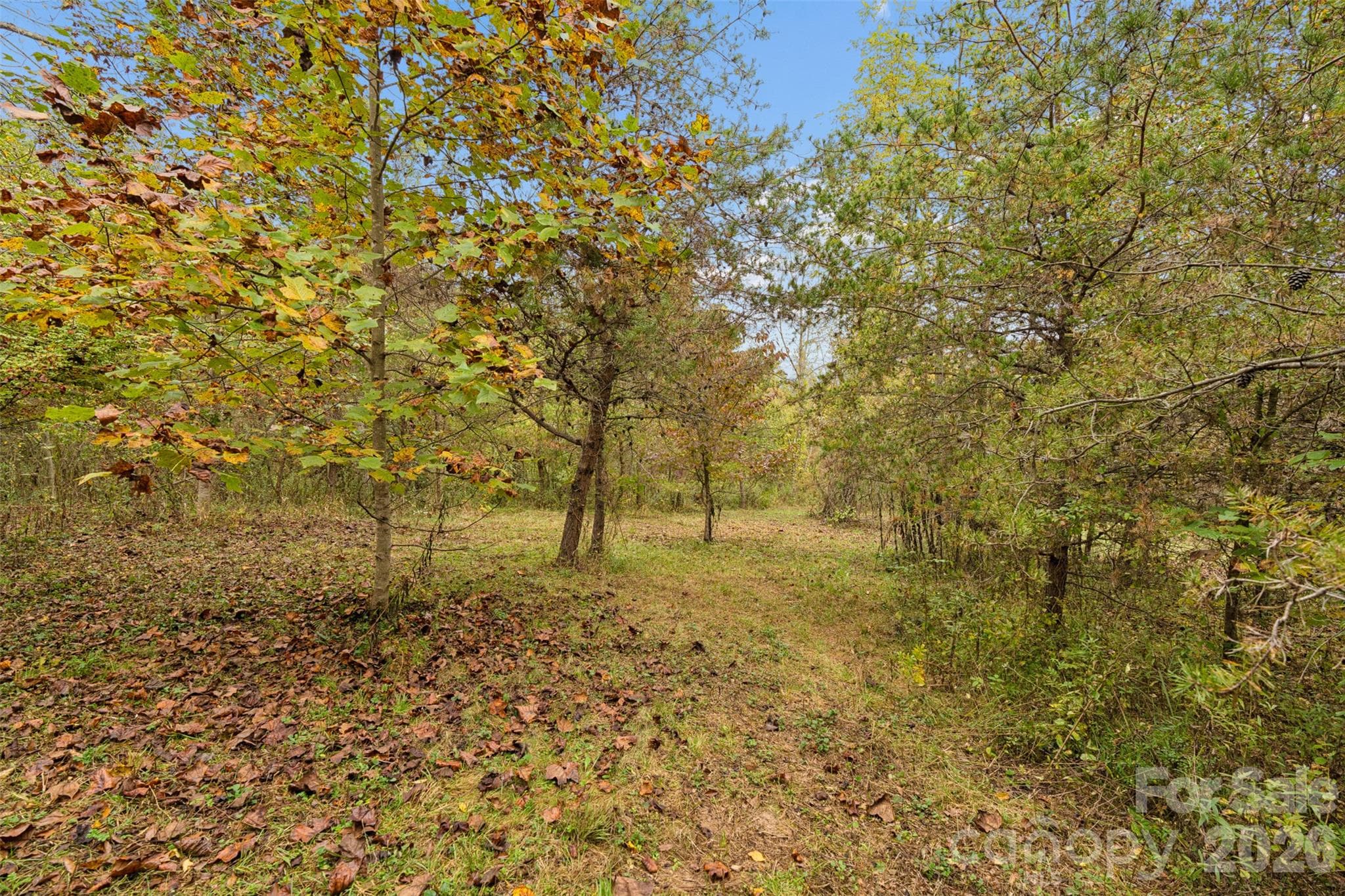 Acreage at 0 Kims Cove Road, Canton, photo 38 of 44