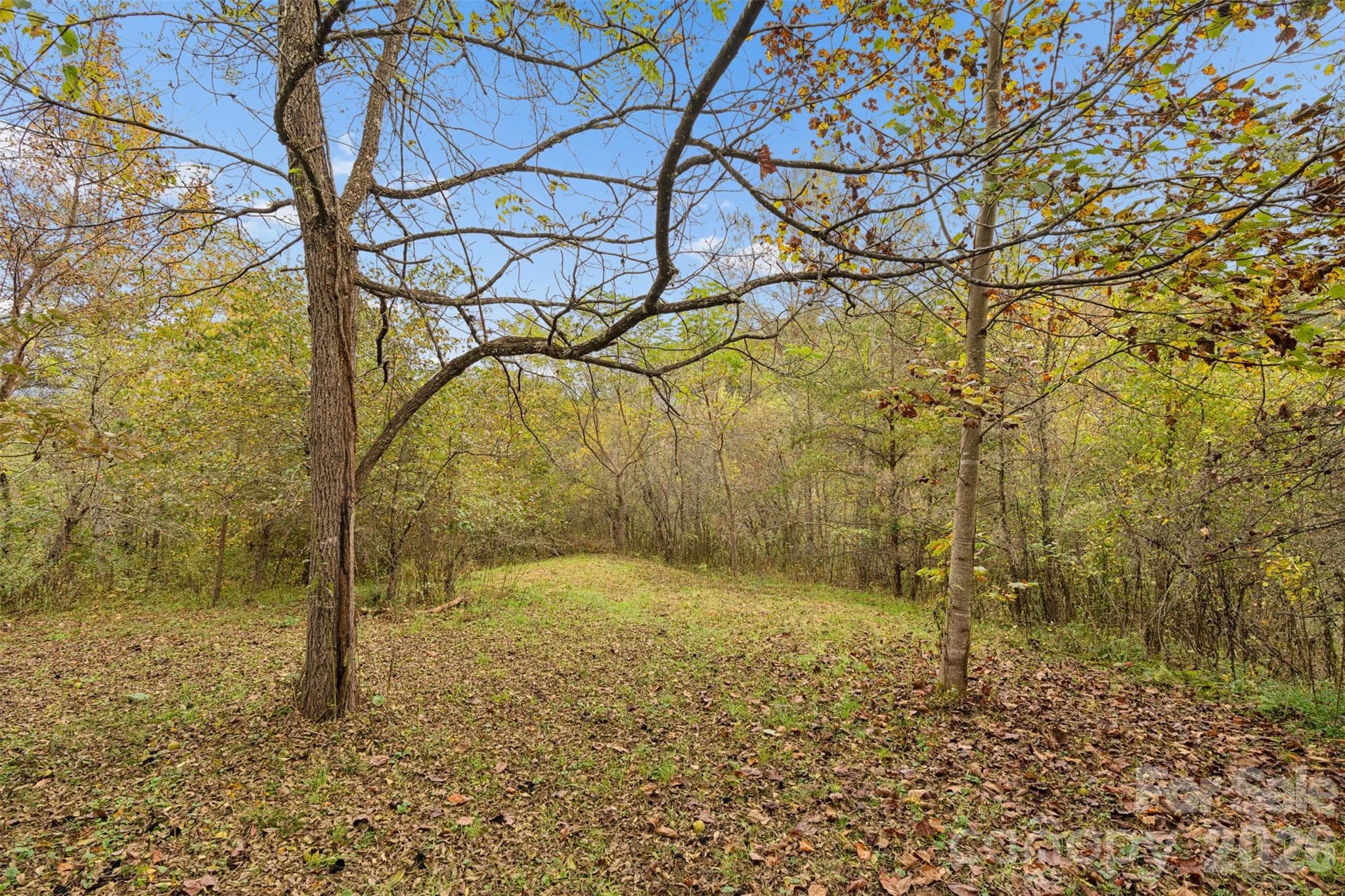 Acreage at 0 Kims Cove Road, Canton, photo 39 of 44