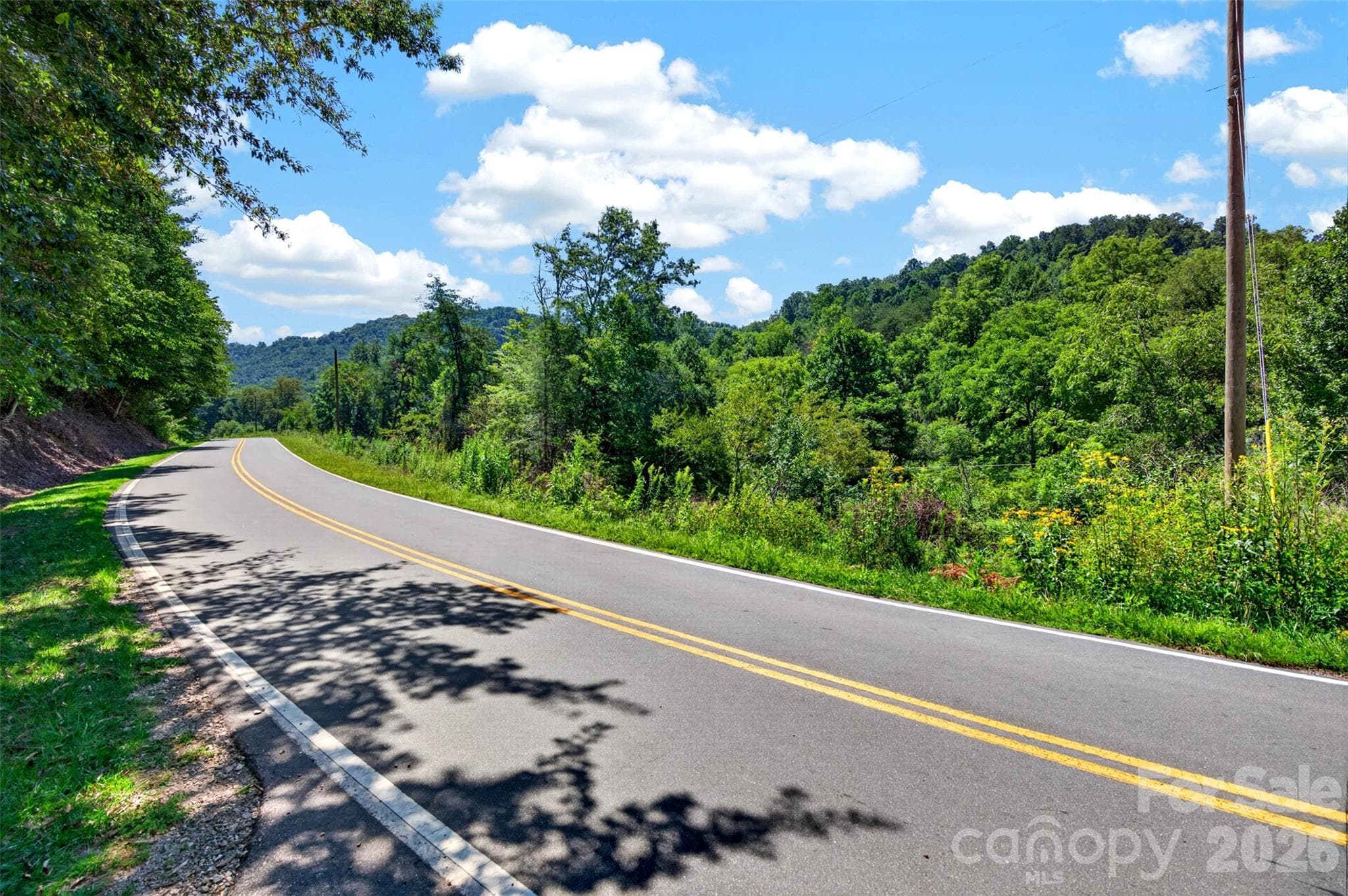 Acreage at 0 Kims Cove Road, Canton, photo 40 of 44