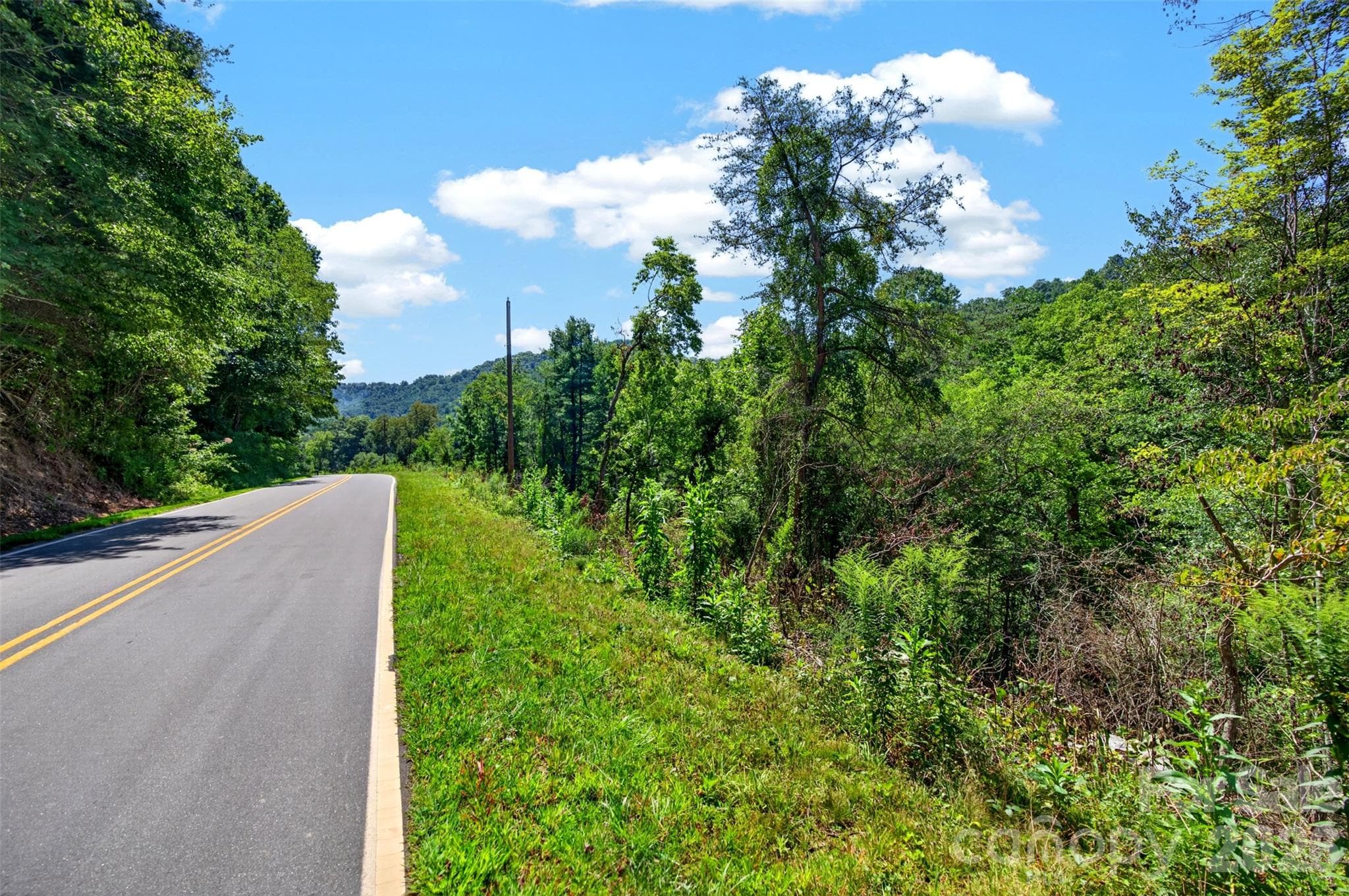 Acreage at 0 Kims Cove Road, Canton, photo 41 of 44