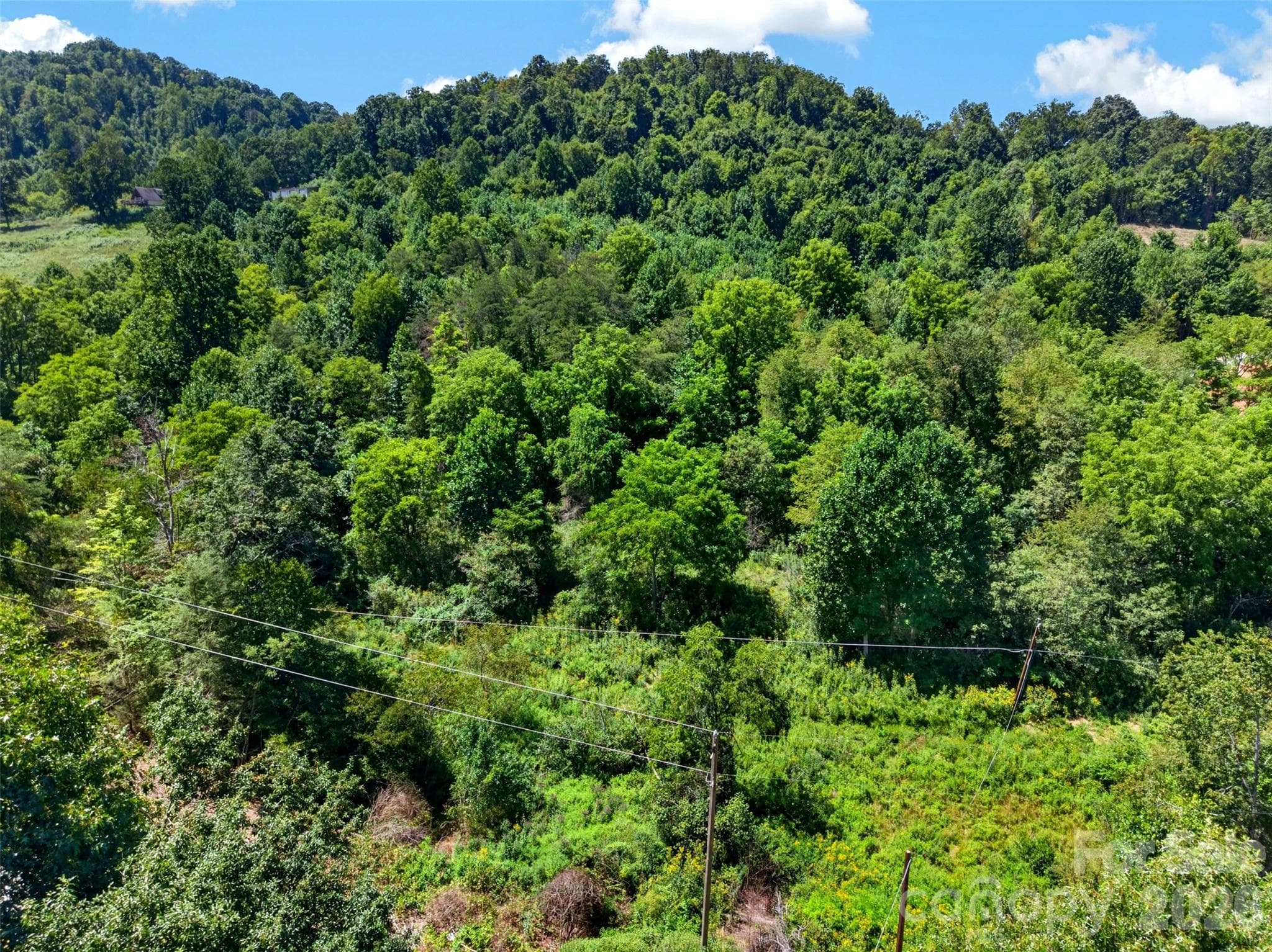 Acreage at 0 Kims Cove Road, Canton, photo 42 of 44