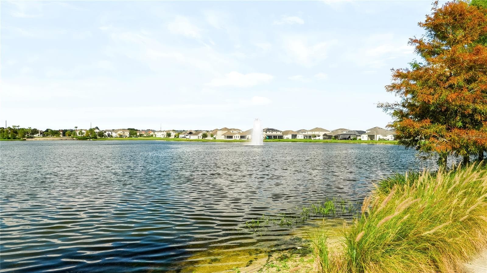 Single Family Residence at 2500 AVIAN LOOP, KISSIMMEE, photo 43 of 61