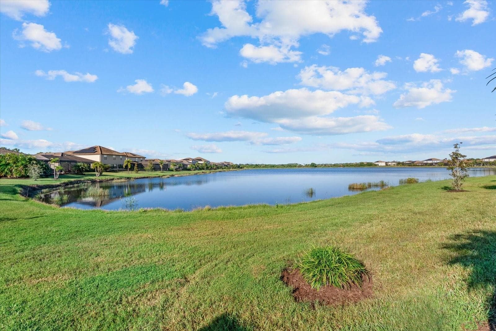 Single Family Residence at 17430 POLO TRL, BRADENTON, photo 36 of 55