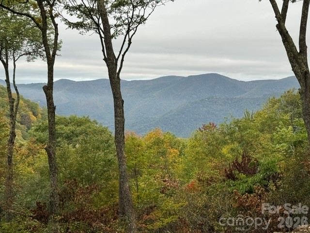 Lot at 270 Olli Trail, Maggie Valley, photo 2 of 20