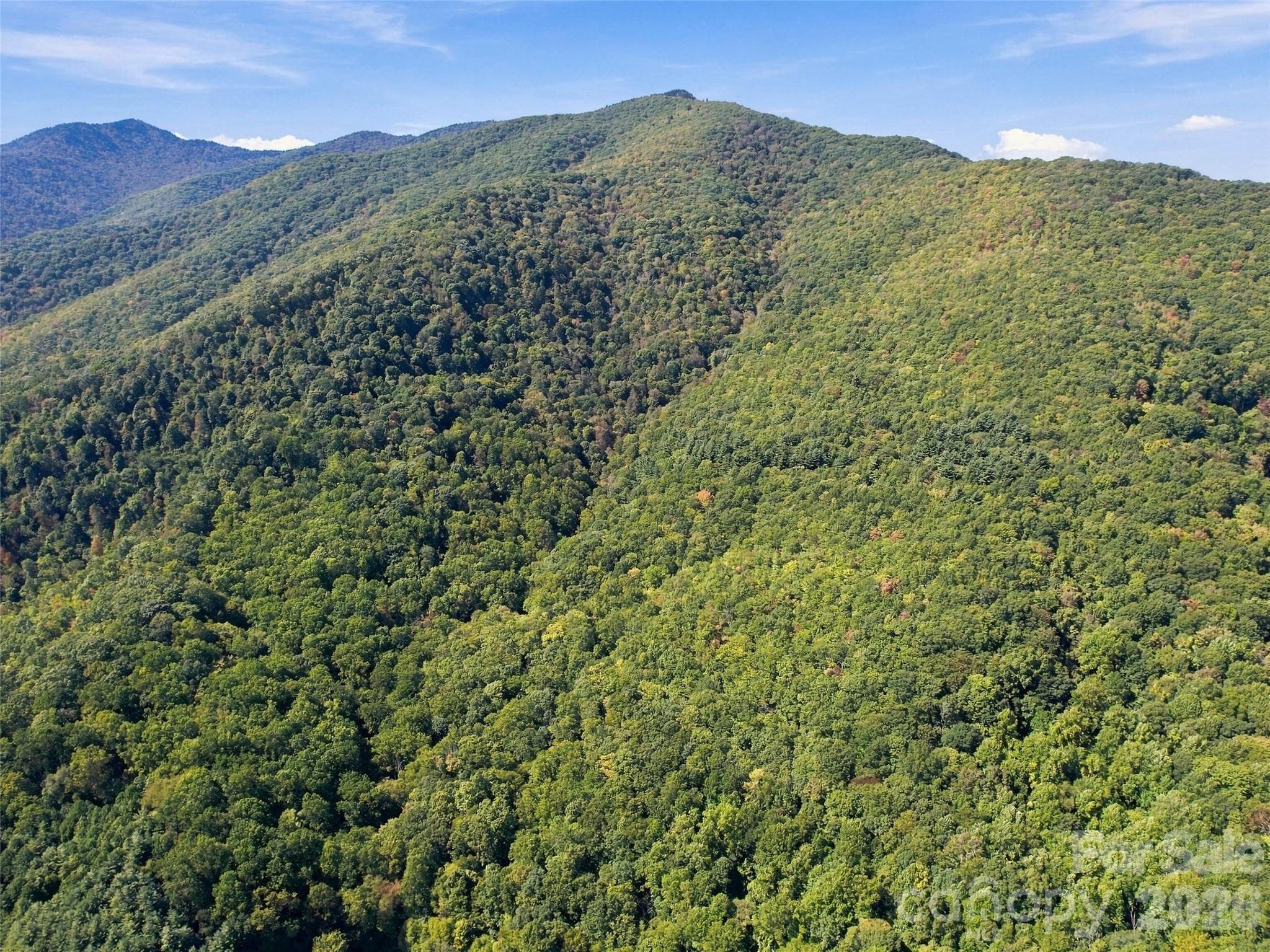 Rare Haywood County headwaters property opportunity on the Plott Balsam Range - 00 Orion Davis Road, Waynesville