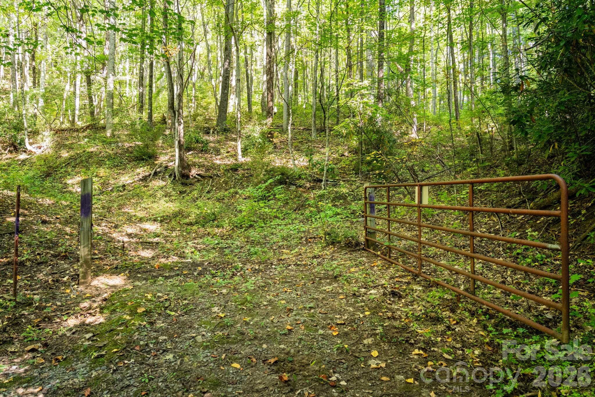 First gate on ROW entrance to property - 00 Orion Davis Road, Waynesville