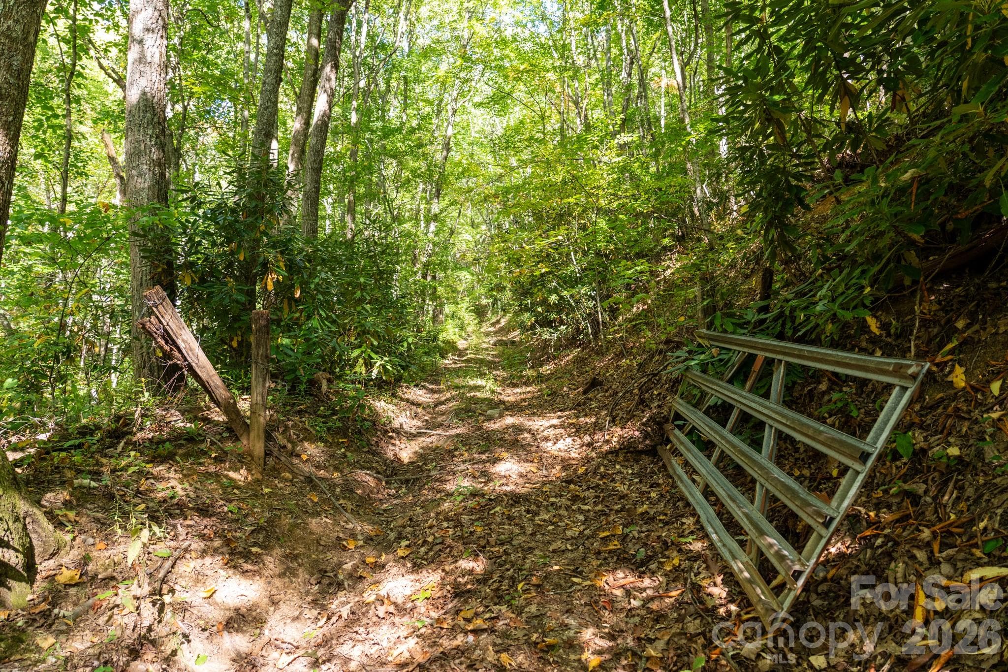 Second gate on ROW entrance to property marking the start of tract - 00 Orion Davis Road, Waynesville