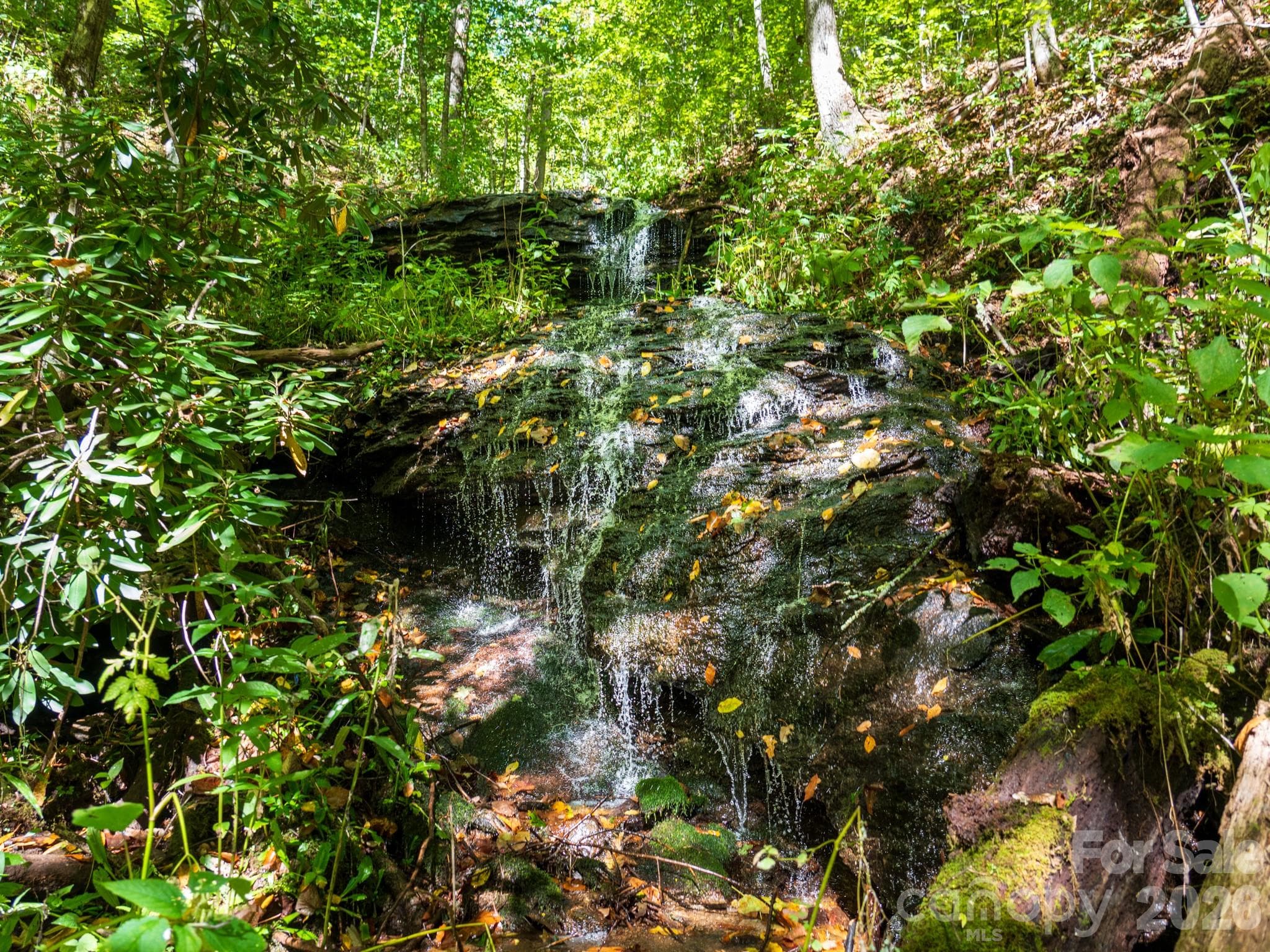 One of many waterfalls on property - 00 Orion Davis Road, Waynesville