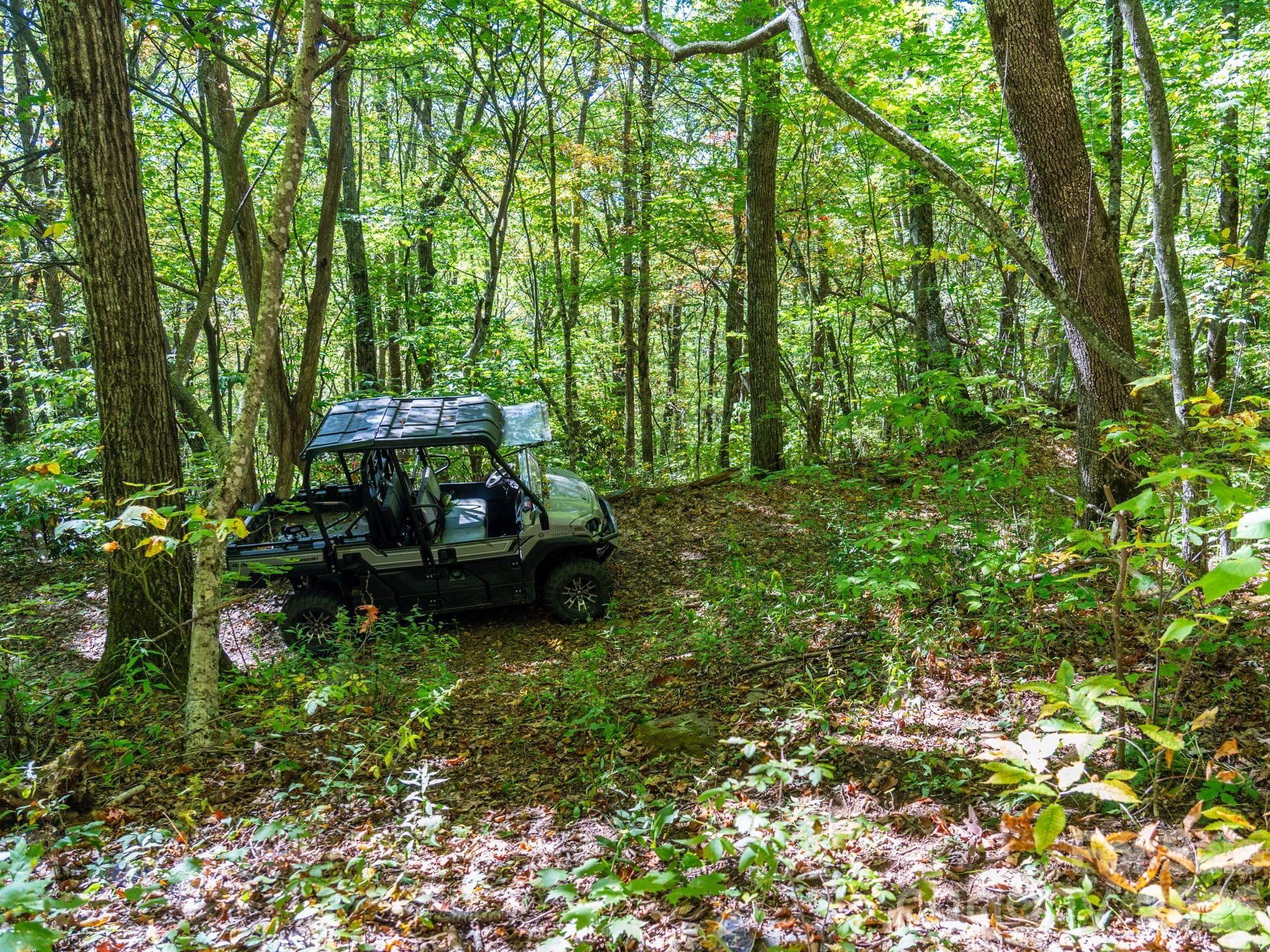 Braided network of old logging roads explores the property - 00 Orion Davis Road, Waynesville